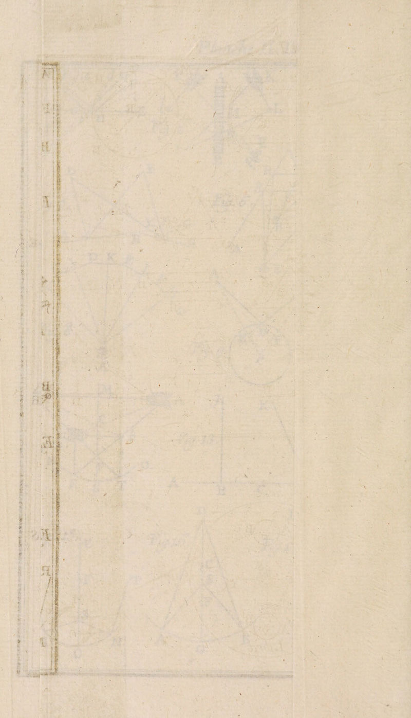 t V ! *• t '■ l / ✓ (I \ ' . c n I \