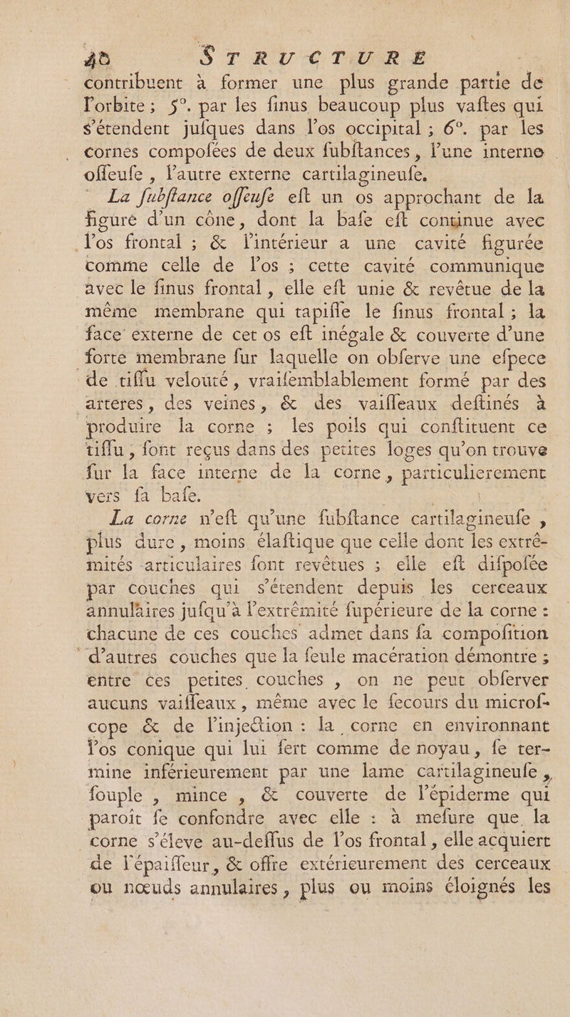 contribuent à former une plus grande partie de l'orbite; 5°. par les finus beaucoup plus vañftes qui s’érendent jufques dans los occipital ; 6°. par les cornes compolées de deux fubftances, l’une interne offeufe , lautre externe cartilagineufe. La fubflance offeufe eft un os approchant de Îa figure d'un cône, dont la bafe eft continue avec los frontal ; &amp; l'intérieur a une cavité figurée comme celle de los ; cette cavité communique avec le finus frontal , elle eft unie &amp; revêtue de la même membrane qui tapifle le finus frontal; la face externe de cet os eft inégale &amp; couverte d’une forte membrane fur laquelle on obferve une efpece de tiffu velouté, vraifemblablement formé par des arteres, des veines, &amp; des vaifleaux deftinés à produire la corne ; les poils qui conftituent ce tiflu, font reçus dans des petites loges qu’on trouve fur la face interne de Îa corne, particulierement vers fa bafe. | HS Ma La corne neft qu'une fubftance cartilagineufe , plus dure, moins élaftique que celle dont les extré- mités articulaires font revêtues ; elle eft difpoiée par couches qui s'étendent depuis les cerceaux annulaires jufau’àa l'extrémité fupérieure de la corne : chacune de ces couches admet dans fa compoftion d’autres couches que la feule macération démontre ; entre Ces petites couches , on ne peut obferver aucuns vaifleaux , même avec le fecours du microf- cope &amp; de linjection : la corne en environnant Pos conique qui lui fert comme de noyau, fe ter- mine inférieurement par une lame cartilagineule , fouple , mince , &amp; couverte de l’épiderme qui paroït fe confondre avec elle : à mefure que la _corne s’éleve au-deflus de l’os frontal, elle acquiert de l'épaifleur, &amp; offre extérieurement des cerceaux ou nœuds annulaires , plus ou moins éloignés les