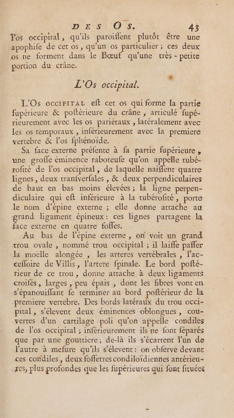 Yos occipiral, qu'ils paroiflent plutôt être une apophife de cet os, qu'un os particulier; ces deux os ne forment dans le Bœuf qu'une très - petite portion du crâne. | ». L'Os occipital. L'Os occiriraz eft cet os qui forme {a partie fapérieure &amp; poftérieure du crâne , articulé fupé- rieurement avec les os pariéraux , latéralement avec les os temporaux , inférieurement avec la premiere vertebre &amp; los fphénoide. Sa face externe prélente à fa partie fupérieure , une grofle éminence raboteule qu'on appelle tubé- rofité de los occipital, de laquelle naïffent quatre lignes , deux tranfverfales , &amp; deux perpendiculaires de haut en bas moins élevées ; la ligne perpen- diculaire qui eft inférieure à la tubérofité, porte le nom d’épine externe ; elle donne attache au grand ligament épineux: ces lignes partagent la face externe en quatre fofles. Au bas de l’épine éxterne , on voit un grand trou ovale ; nommé trou occipital ; 1l laife paffer la moëlle alongée , les arteres vertébrales , lac- cefloire de Villis, lartere fpinale. Le bord poñté- rieur de ce trou, donne attache à deux ligaments croifés , larges , peu épais ; dont les fibres vont en -s’épanouiflant fe terminer au bord poñtérieur de la premiere vertebre. Des bords latéraux du trou occi- pital, s’élevent deux éminences oblongues, cou- vertes d’un cartilage poli qu’on appelle condiles de l'os occipital ; inférieurement ils ne font féparés que par une gouttiere; de-là ils s'écartent l’un de l'autre à mefure qu'ils s’élevent: on obferve devant ces condiles , deux foflettes condiloïdiennes antérieu- es, plus profondes que les fupérieures qui font firuées