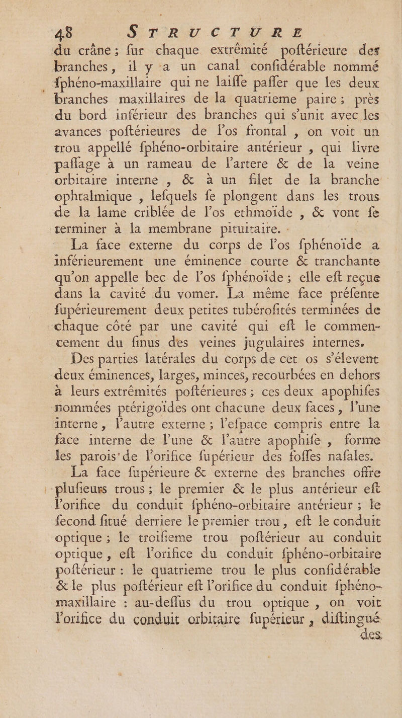 du crâne; fur chaque extrémité poftérieure des branches, il y a un canal confidérable nommé fphéno-maxillaire qui ne laiffe pafler que les deux branches maxillaires de la quatrieme paire; près du bord inférieur des branches qui s’unit avec les avances poftérieures de los frontal , on voit un trou appellé fphéno-orbitaire antérieur , qui livre pañlage à un rameau de lartere &amp; de la veine orbitaire interne , &amp; à un filet de la branche ophtalmique , lefquels fe plongent dans les trous de la lame criblée de l’os erhmoide , &amp; vont fe terminer à la membrane pituitaire. : | La face externe du corps de los fphénoïde a inférieurement une éminence courte &amp; tranchante qu’on appelle bec de l'os fphénoïde ; elle eft reçue dans la cavité du vomer. La même face préfente fupérieurement deux petites tubérofités terminées de chaque côté par une cavité qui eft le commen- cement du finus des veines jugulaires internes. Des parties latérales du corps de cet os s’élevent deux éminences, larges, minces, recourbées en dehors à leurs extrémités poftérieures ; ces deux apophifes nommées ptérigoides ont chacune deux faces, l’une interne, l’autre externe ; l’efpace compris entre la face interne de l’une &amp; lautre apophife , forme les parois'de l'orifice fupérieur des fofles nafales. La face fupérieure &amp; externe des branches offre -plufieurs trous ; le premier &amp; le plus antérieur eft Vorifice du conduit fphéno-oïrbitaire antérieur ; le fecond fitué derriere le premier trou, eft le conduit optique ; le troifieme trou poftérieur au conduit optique, eft l'oriñfice du conduit fphéno-orbitaire poftérieur : le quatrieme trou le plus confidérable &amp;le plus poftérieur eft Porifice du conduit fphéno- maxillaire : au-deflus du trou optique , on voit lonifice du conduit orbitaire fupérieur , LAS SN