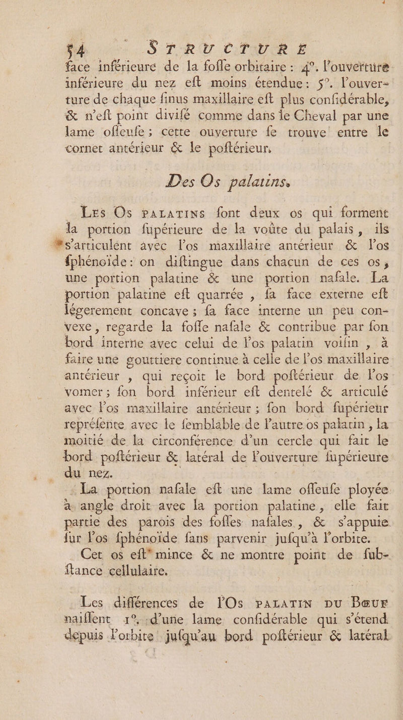 Mn. STRU CTURE face inférieure de la fofle orbitaire : 4°. l'ouverture inférieure du nez eft moins étendue: 5°. l’ouver- ture de chaque finus maxillaire eft plus confidérable, &amp; n’eft point divifé comme dans le Cheval par une lame ofleufe; cette ouverture fe trouve entre le cornet antérieur &amp; le poftérieur. | Des Os palatins, _ Les Os paratins font deux os qui forment la portion fupérieure de la voûte du palais, ils fs'articulént avec l'os maxillaire antérieur &amp; los fphénoïde: on diftingue dans chacun de ces os, une portion palatine &amp; une portion nafale. La portion palatiné eft quarrée , fa face externe eft Iégerement concave ; fa face interne un peu con- vexe , regarde la foffe nafale &amp; contribue par fon bord interne avec celui de los palatin voifin , à faire une gouttiere continue à celle de l'os maxillaire antérieur , qui reçoit le bord poftérieur de l'os vomer ; fon bord inférieur eft dentelé &amp; articulé avec los maxillaire antérieur ; fon bord fupérieur repréfente avec le femblable de l'autre os palaun , la moitié de la circonférence d’un cercle qui fait le bord poñtérieur &amp; latéral de Fouverture fupérieure du nez. | | | + La portion nafale eft une lame offeufe ployée. a angle droit avec la portion palatine, elle fait partie des parois des fofles nafales, &amp; s'appuie fur los fphénoide fans parvenir jufqu’à l'orbite. Cet os eft” mince &amp; ne montre point de fub- ftance cellulaire. Les différences de lOs PaALzaATIN pu Peur naiflent 1°, :d’uñe lame confidérable qui s'étend. ckpuis l'orbite jufqu'au bord poftérieur &amp; latéral