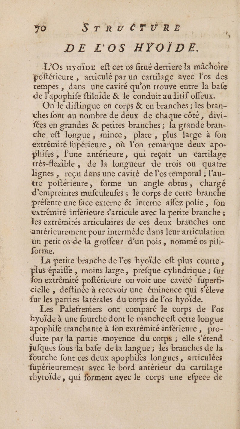 HO Srvv eee DE LOS HŸOTIDE. L'Os uyoïvE£ eft cet os fitué derriere la mâchoire poftérieure , articulé par un cartilage avec l'os des tempes , dans uñe cavité qu'on trouve entre la bafe de l'apophife ftiloïde &amp; le conduit auditif offeux. On le diftingue en corps &amp; en branches ; les bran- ches font au nombre de deux de chaque côté, divi- fées en grandes &amp; petites branches ; la grande bran- che eft longue, mince, plate, plus large à fon extrémité fupérieure , où l’on remarque deux apo- phifes, l’une antérieure, qui reçoit un cartilage très-flexible , de la longueur de trois ou quatre lignes, reçu dans une cavité de los temporal ; l’au- tre poftérieure, forme un angle obtus, chargé d'empreintes mufculeufes ; le corps de cette branche _préfente une face externe &amp; interne aflez polie, fon extrémité inférieure s'articule avec la petite branche ; les extrémités articulaires de ces deux branches ont ‘antérieurement pour interméde dans leur articulation un petit os-de la groffeur d’un pois, nommé os pifi- forte. | | _ La petite branche de l'os hyoïde eft plus courte, plus épaifle , moins large, prefque cylindrique ; fur fon extrêmité poftérieure on voit une cavité fuperf- cielle , deftinée à recevoir une éminence qui s’éleve fur les parties latérales du corps de l'os hyoïde. _ Les Palefreniers ont comparé le corps de los hyoïde à une fourche dont le mancheeft cette longue apophile tranchante à {on extrémité inférieure, pro- duite par la partie moyenne du corps ; elle s'étend jufques fous la bafe de la langue ; les branches de la fourche font ces deux apophifes longues, articulées fupérieurement avec le bord antérieur du cartilage thyroïde, qui forment avec le corps une efpece de