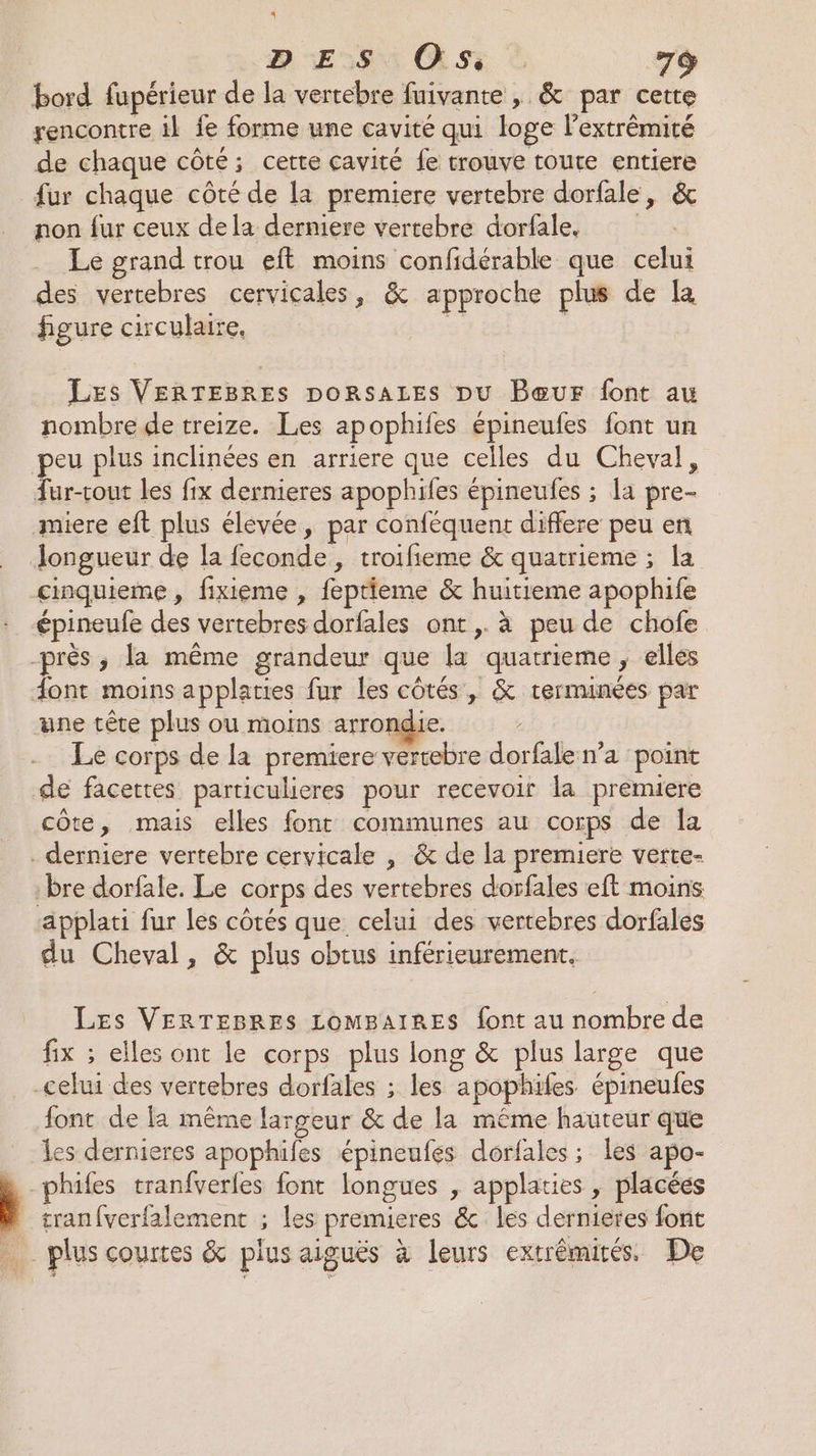 4 bord fupérieur de la vertebre fuivante , &amp; par cette rencontre il fe forme une cavité qui loge l'extrémité de chaque côté; cette cavité fe trouve toute entiere fur chaque côté de la premiere vertebre dorfale, &amp; non fur ceux dela derniere vertebre dorfale. Le grand trou eft moins confidérable que celui des vercebres cervicales, &amp; approche plus de la figure circulaire, £ | Les VERTEBRES poRsALEs DU Bœur font au nombre de treize. Les apophifes épineufes font un peu plus inclinées en arriere que celles du Cheval, fur-cout les fix dernieres apophifes épineufes ; la pre- miere eft plus élevée, par conféquent differe peu en longueur de la feconde, troifieme &amp; quatrieme ; la cinquieme , fixieme , feptieme &amp; huitieme apophife épineufe des vertebres dorfales ont ,. à peu de chofe près ; la même grandeur que la quatrieme , elles font moins applaties fur les côtés, &amp; terminées par une tête plus ou moins arrondie. Le corps de la premiere vertebre dorfale n’a point de facettes particulieres pour recevoir la premiere côte, mais elles font communes au corps de la . derniere vertebre cervicale , &amp; de la premiere verte- bre dorfale. Le corps des vertebres dorfales eft moins applati fur les côtés que celui des vertebres dorfales du Cheval, &amp; plus obtus inférieurement. Les VERTEBRES LomMBaIRESs font au nombre de fix ; elles ont le corps plus long &amp; plus large que -celui des vertebres dorfales ; les apophifes épineufes font de fa même largeur &amp; de la même hauteur que les dernieres apophifes épineufes dorfales; les apo- phifes tranfverfes font longues , applaties , placées tranfverfalement ; les premieres &amp; les dernieres font plus courtes &amp; plus aiguës à leurs extrémités. De