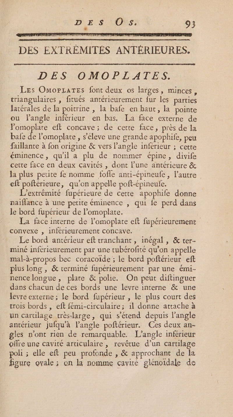 ne bot D RS DES EXTRÉMITÉS ANTÉRIEURES. DES:0MOPLATES. Les OmopLaTes font deux os larges, minces, triangulaires , fitués antérieurement fur les parties latérales de la poitrine , la bafe en haut, la pointe ou langle inférieur en bas. La face externe de Yomoplate eft concave ; de cette face, près de la bafe a lomoplate , s’éleve une grande apophife, peu faillante à fon origine &amp; vers l'angle inférieur ; cette éminence, qu'il a plu de nommer épine, divife cette face en deux cavités , dont l’une antérieure &amp; la plus petite fe nomme fofle anti-épineufe, l’autre eft poftérieure, qu’on appelle poft-épineufe. L'extrêémité fupérieure de cette apophife donne naiflance à une petite éminence , qui {e perd dans le bord fupérieur de l’omoplate. La face interne de l’omoplate eft fupérieurement convexe , inférieurement concave. Le bord antérieur eft tranchant, inégal , &amp; ter- miné inférieurement par une tubérofiré qu’on appelle mal-à-propos bec coracoïde ; le bord poftérieur eft plus long , &amp; rerminé fupérieurement par une émi- nence longue, plate &amp; polie. On peut diftinguer dans chacun de ces bords une levre interne &amp; une levre externe ; le bord fupérieur , le plus court des trois bords , eft {émi-circulaire; il donne attache à un cartilage très-large, qui s'étend depuis l'angle antérieur jufqu’a l'angle poftérieur. Ces deux an- gles n’ont rien de remarquable. L’angle inférieur offre une cavité articulaire , revêtue d’un cartilage poli ; elle eft peu profonde , &amp; approchant de la figure ovale ; on la nomme cavité glénoidale de