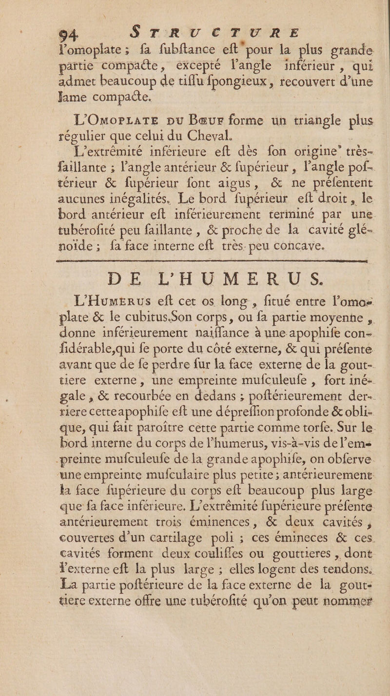 4 STRUCTURE l’omoplate ; fa fubftance eftpour la plus grande artie compacte, excepté l'angle inférieur, qui admet beaucoup de tiflu fpongieux, recouvert d’une Jaime compaéte. | | L'OmopraTe pu Bœur forme un triangle plus régulier que celui du Cheval. | L'extrêmité inférieure eft dès fon origine” très- faillante ; l'angle antérieur &amp; fupérieur , l'angle pof- térieur &amp; fupérieur font aigus, &amp; ne préfentent aucunes inégalités. Le bord fupérieur eft droit, le bord antérieur eft inférieurement terminé par une tubérofité peu faillante , &amp; proche de la cavité glé- noïde ; fa face interne eft très. peu concave. DE L'HUMERUS. L'Humerus eft cet os long , fitué entre l’omos plate &amp; le cubitus.$Son corps, ou fa partie moyenne , donne inférieurement naiffance à une apophife con- fidérable,qui fe porte du côté externe, &amp; qui préfente avant que de fe perdre fur la face externe de la gout- tiere externe, une empreinte mufculeufe , fort iné- gale , &amp; recourbée en dedans ; poftérieurement der-. riere cetteapophife eft une dépreflion profonde &amp; obli- que, qui fait paroître cette partie comme torfe. Sur le. bord interne du corps de l’humerus, vis-à-vis de l’ems -preinte mufculeufe de la grande apophife, on obferve ‘une empreinte mufculaire plus petite; antérieurement: la face fupérieure du corps eft beaucoup plus large que fa face inférieure. L'extrêmité fupérieure préfente antérieurement trois éminences, &amp; deux cavités , couvertes d'un cartilage poli ; ces émineces &amp; ces. cavités forment deux couliffes ou gouttieres , dont Vexterne eft la plus large ; elles logent des tendons. La partie poftérieure de la face externe de la gout- tiere externe offre une tubérofité qu’on peut nommer