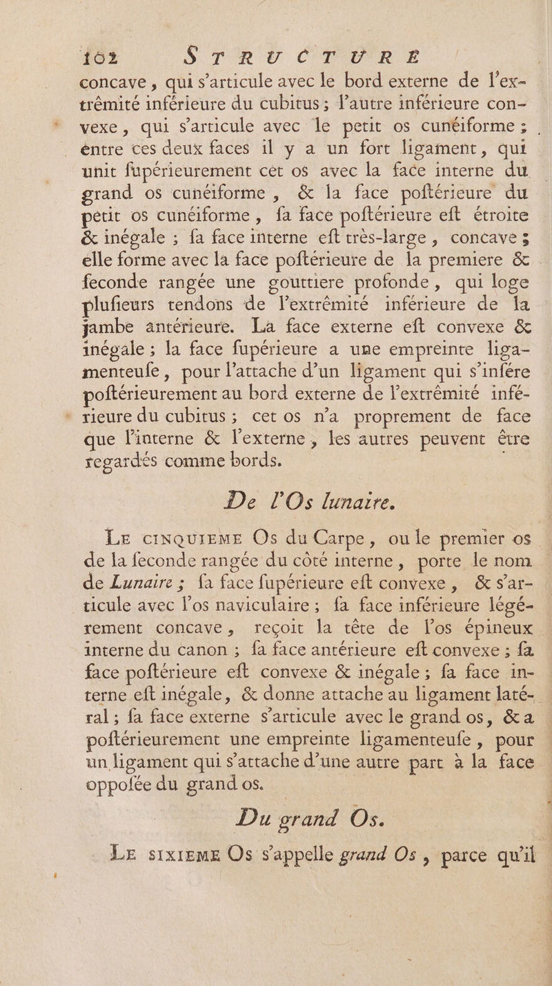 concave, qui s'articule avec le bord externe de l’ex- trêémité inférieure du cubitus; l’autre inférieure con- vexe, qui s'articule avec le petit os cunéiforme; . éntre ces deux faces 1l y a un fort ligament, qui unit fupérieurement cet os avec la face interne du grand os cunéiforme , &amp; la face poftérieure du petit os cunéiforme, fa face poftérieure eft étroite &amp; inégale ; fa face interne eft très-large, concave ; elle forme avec la face poftérieure de la premiere &amp; feconde rangée une gouttiere profonde, qui loge plufieurs tendons de l'extrémité inférieure de Ia jambe antérieure. La face externe eft convexe &amp; inégale ; la face fupérieure a une empreinte liga- menteufe, pour l’attache d’un ligament qui s’infére poftérieurement au bord externe de l’extrêmité infé- * rieure du cubitus; cet os n’a proprement de face que l’interne &amp; l'externe , les autres peuvent être regardes comme bords. De l'Os lunaire. LE ciNQUIEME Os du Carpe, ou le premier os de la feconde rangée du côté interne, porte le nom de Lunaire ; fa face fupérieure eft convexe, &amp;sar- : ticule avec l'os naviculaire ; fa face inférieure légé- rement concave, reçoit la tête de los épineux interne du canon ; fa face antérieure eft convexe ; fa face poftérieure eft convexe &amp; inégale ; fa face in- terne eft inégale, &amp; donne attache au ligament laté- : ral ; fa face externe $’articule avec le grand os, &amp;a poftérieurement une empreinte ligamenteufe , pour un ligament qui s’attache d’une autre part à la face oppofée du grand os. | Du grand Os. Le six1emE Os appelle grand Os , parce qu'il