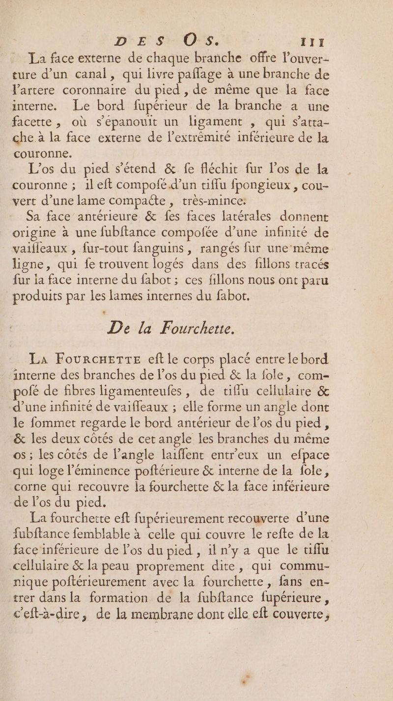 La face externe de chaque branche offre l’ouver- ture d’un canal, qui livre paffage à une branche de Vartere coronnaire du pied , de même que la face interne. Le bord fupérieur de la branche à une facette, où s’épanouit un ligament , qui s’atta- che à la face externe de l’extrémité inférieure de la couronne. L'os du pied s'étend &amp; fe fléchit fur los de la couronne ; ileft compofé.d’un tiffu fpongieux , cou- vert d’une lame compaéte , très-mince: Sa face’ antérieure &amp; fes faces latérales donnent origine à une fubftance compoiée d’une infinité de vaifleaux , fur-tout fanguins , rangés fur une même ligne, qui fe trouvent logés dans des fillons tracés fur ia face interne du fabot ; ces fillons nous ont paru produits par les lames internes du fabot. De la Fourchette. La FourcHeTTE eft le corps placé entre le bord interne des branches de l’os du pied &amp; la fole, com pofé de fibres ligamenteufes, de tiffu cellulaire &amp; d’une infinité de vaifleaux ; elle forme un angle dont le fommet regarde le bord antérieur de los du pied , &amp; les deux côtés de cet angle les branches du même os ; les côtés de l’angle laiffent entr'eux un efpace qui loge l’éminence poftérieure &amp; interne de la fole, corne qui recouvre la fourchette &amp; la face inférieure de los du pied. La fourchette eft fupérieurement recouverte d’une fubftance femblable à celle qui couvre le refte de la face inférieure de los du pied , il n’y a que le üffu cellulaire &amp; la peau proprement dite, qui commu- nique poftérieurement avec la fourchette , fans en- trer dans la formation de la fubftance fupérieure, c'eftà-dire, de la membrane dont elle eft couverte,