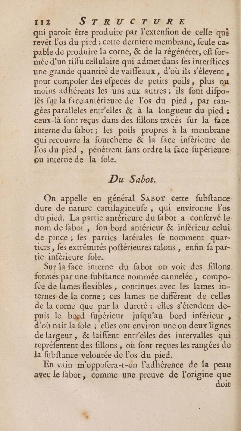qui paroît être produite par l’extenfion de celle qui revêt l’os du pied ; certe derniere membrane, feule ca- pable de produire la corne, &amp; de la régénérer, eft for- mée d’un tiffu cellulaire qui admet dans fes interftices une grande quantité de vaifleaux, d’où ils s’élevent , pour compofer des efpeces de petits poils, plus ou moins adhérents les uns aux autres ; ils font difpo- {és far la face antérieure de l'os du pied, par ran- gées paralleles entr'elles &amp; à la longueur du pied ; ceux-la font reçus dans des fillons tracés fur la face interne du fabot; les poils propres à la membrane qui recouvre la fourchette &amp; la face inférieure de: Vos du pied , pénétrent fans ordre la face fupérieure: ou interne de la fole. | Du Sabot. _ On appelle en général SaBoT cette fubftance. dure de nature cartilagineufe , qui environne los. du pied. La partie antérieure du fabot a confervé le. nom de fabot , {on bord antérieur &amp; inférieur celui. de pince ; fes parties latérales fe nomment quar- ticrs , fes extrémités poftérieures talons , enfin fa par- tie inférieure fole. Sur la face interne du fabot on voit des fillons. formés par une fubftance nommée cannelée , compo- fée de lames flexibles , continues avec les lames in- ternes de la corne ; ces lames ne différent de celles de la corne que par la dureté ; elles s'étendent de- uis le boyd fupérieur jufqu'au bord inférieur , d’où nait la fole ; elles ont environ une ou deux lignes de largeur, &amp; laiflent entr’elles des intervalles qui, repréfentent des fillons , où font reçues les rangées de la fubftance veloutée de los du pied. En vain m’oppofera-t-on l’adhérence de la peau avec le fabot, comme une preuve de l’origine de | oit