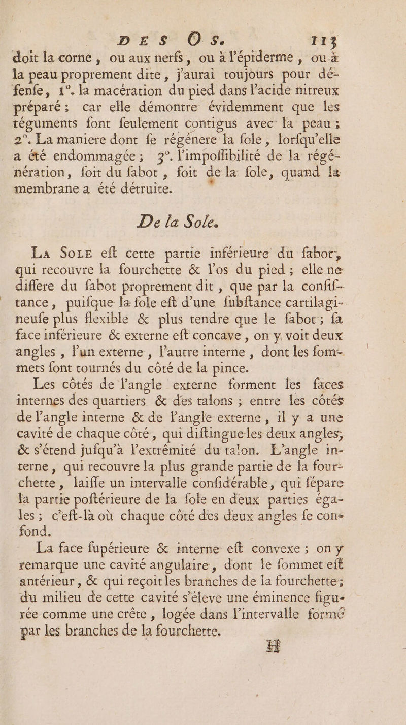 doit la corne, ou aux nerfs, ou à l’épiderme , ouà la peau proprement dite, j'aurai toujours pour de- fenfe, 1°. fa macération du pied dans l'acide nitreux préparé; car elle démontre évidemment que les téguments font feulement contigus avec fa peau ; 2°. La maniere dont fe régénere la fole, lorfqu’elle a été endommagée; 3°. limpoflibilité de la régé- nération, foit du fabot , foit de la fole, quand !a membrane a été détruite. . De la Sole. | La Soze eft cette partie inférieure du fabor, qui recouvre la fourchette &amp; l'os du pied ; ellene difiere du fabot proprement dit , que par la confif- tance, puifque la fole eft d’une fubftance cartilagi- neufe plus flexible &amp; plus tendre que le fabot; fa face inférieure &amp; externe eft concave , on y. voit deux angles , l’un externe , l’autre interne , dont les fom- mets font cournés du côté de la pince. Les côtés de l'angle externe forment les faces internes des quartiers &amp; des talons ; entre les côtés de l'angle interne &amp; de langle externe, il y a une cavité de chaque côté, qui diftingueles deux angles; &amp; s'étend jufqu’à l’extrêmité du talon. L’angle in- terne , qui recouvre la plus grande partie de fa four- chette, laifle un intervalle confidérable, qui fépare la partie poftérieure de a fole en deux parties éga- les ; c’eft-là où chaque côté des deux angles fe con fond. La face fupérieure &amp; interne eft convexe ; on y remarque une cavité angulaire, dont le fommeteit antérieur , &amp; qui reçoit les branches de la fourchette; du milieu de cette cavité s’éleve une éminence figu- rée comme une crête , logée dans l'intervalle formé par les branches de la fourchette. «