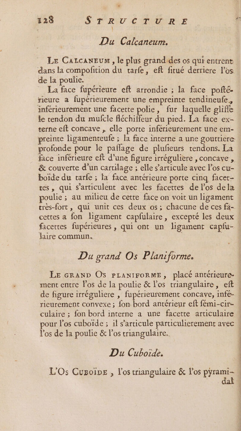 * 128 STRUVCTURE | Du Calcaneum. Le CaLcanEuM, le plus grand des os qui entrent: de [a poulie. La face fupérieure eft arrondie ; la face pofté- rieure a fupérieurement une empreinte tendineufe. inférieurement une facette polie, fur laquelle gliffe le tendon du mufcle Aéchiffour du pied. La face ex- terne eft concave , elle porte inférieurement une em- 0 profonde pour le pallage de plufeurs tendons. La face inférieure eft d’une figure irréguliere , concave , &amp; couverte d'un cartilage ; elle s’articule avec l'os cu- boide du tarfe ; la face antérieure porte cinq facet- poulie; au milieu de cette face on voit un ligament cettes a fon ligament capfulaire, excepté les deux facettes fupérieures , qui ont un ligament capfu- faire commun. Du grand Os Plan:forme. LE GRAND Os PLANIFORME, placé antérieure- ment entre Fos de la poulie &amp; los triangulaire, eft culaire ; fon bord interne a une facette articulaire Vos de la poulie &amp; l'os triangulaire. Du Cuboide.