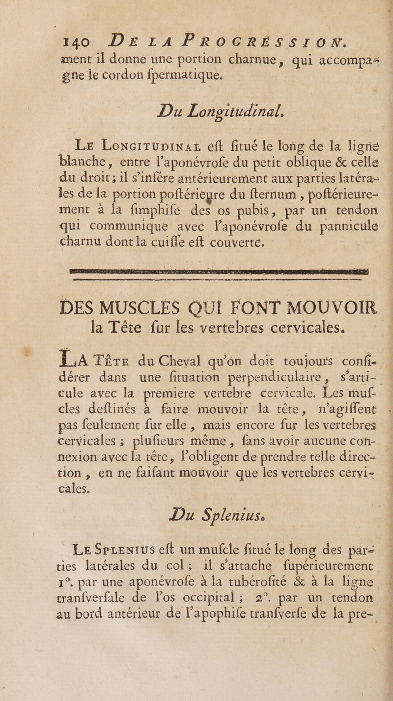 ment 1l donne une portion charnue, qui accompa= gne ie cordon fpermatique. Du Lonpuiudinal, . Le Loxcrrupinaz eft fitué le long de la ligne blanche, entre l’aponévrofe du petit oblique &amp; celle du droit; il s’infére antérieurement aux parties latéra- les de la portion poftérieure du fternum , poftérieure- ment à la fimphife des os pubis, par un tendon qui communique avec l’aponévrofe du pannicüle- -charnu dont la cuifle eft couverte. D DES MUSCLES QUI FONT MOUVOIR la Tête fur les vertebres cervicales. LA Têre du Cheval qu'on doit toujouis confie dérer dans une fituation perpendiculaire, s'arti- \ cule avec la premiere vertebre cervicale. Les muf- cles deftinés à faire mouvoir la tête, n’agiflent pas feulement fur elle, mais encore fur les vertebres cervicales ; plufieurs même, fans avoir aucune con- nexion avec la tête, l’obligent de prendre telle direc- tion , en ne faifant mouvoir que les vertebres cervi- cales. Du Splenius, Le Secenrus eft un mulfcle fitué le long des par= ties latérales du col; il s'attache fupérieurement 1°. par une aponévrofe à la tubérofité &amp; à la ligne tranfverfale de los occipital; 2°. par un tendon au bord antérieur de l’apophife tranfverfe de la pre- .