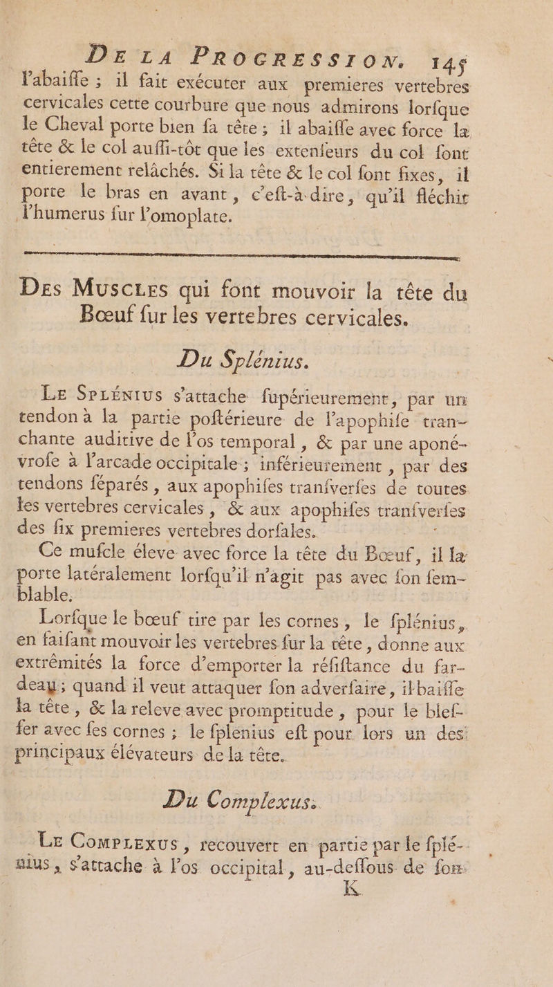 labaiffe ; il fait exécuter aux premieres vertebres cervicales cette courbure que nous admirons lorfque le Cheval porte bien fa tête ; il abaifle avec force la tête &amp; le col aufli-tôt que les extenieurs du col font entierement relâchés. Si la tête &amp; le col font fixes, 1l porte le bras en avant, c’eft-à dire, qu’il Aléchir Phumerus fur Vomoplate. | om, Des Musczes qui font mouvoir la tête du Bœuf fur les vertebres cervicales. Du Splénius. LE SPLÉNIUS s'attache fapérieurement, par un tendon à la partie poftérieure de lapophile tran- chante auditive de l'os temporal, &amp; par une aponé- vrofe à l’arcade occipitale ; inférieurement , par des tendons féparés , aux apophiles tranfverfes de toutes Les vertebres cervicales , &amp; aux apophifes tranfverfes des fix premieres vertebres dorfales. 5 Ce mufcle éleve avec force la tête du Bœuf , il porte latéralement lorfqu’il agit pas avec fon fem- blable. | | Lorique le bœuf tire par les cornes, le fplénius, en faifant mouvoir les vertebres {ur la rête ,; donne aux extrémités la force d’emporter la réfiftance du far- deay; quand :l veut attaquer fon adverfäire, ikbaifle la tête, &amp; la releve avec promputude , pour le bief- fer avec fes cornes : le fplénius eft pour lors un des: principaux élévateurs de la tête. Du Complexus. Le Comprexus, recouvert en partie par le fpié- Bis, s'attache à los occipital, au-deffous de fon. 4