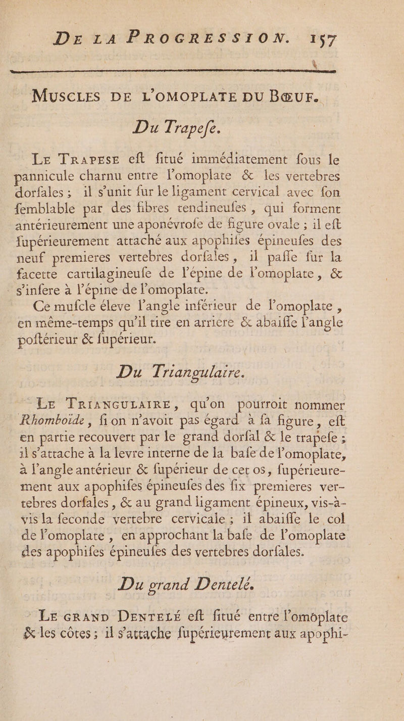 È MUSCLES DE L'OMOPLATE DU BŒUr. Du Trapefe. Le TrapPese eft fitué immédiatement fous le annicule charnu entre l’omoplate &amp; les vertebres dorfales ; il s’unit fur le ligament cervical avec fon femblable par des fibres cendineules , qui forment antérieurement une aponévrofe de figure ovale ; il eft fupérieurement attaché aux apophites épineufes des neuf premieres vertebres dorfales, il pañle fur la facette cartilagineufe de l’épine de lomoplate, &amp; - s'infere à l’épine de l’omoplate. Ce mufcle éleve l'angle inférieur de l’omoplate, en même-temps qu'il tire en arriere &amp; abaiffe l'angle poitérieur &amp; fupérieur. \ Du Triangulaire. LE TRIANGULAIRE, qu'on pourroit nommer Rhomboïde , fion n’avoit pas égard à fa figure, eft en partie recouvert par le grand dorfal &amp; le trapele ; il s’atrache à la levre interne de la bafe de lomoplate, à l’angle antérieur &amp; fupérieur de cet os, fupérieure- ment aux apophifes épineufes des fix premieres ver- tebres dorfales, &amp; au grand ligament épineux, vis-à- vis la feconde vertebre cervicale ; il abaiffe le col de l’omoplate , en approchant la bafe de l’omoplate des apophifes épineufes des vertebres dorfales. Du grand Dentele. LE crano Dexteté eft fitué entre l'omoplate les côtes ; il s'attache fupérieurement aux apophi-