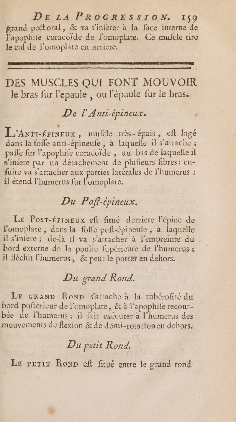 grand pettoral, &amp; va s’inférer à la face interne de Japophiie coracoïide de lomoplate. Ce mulicle tire le col de l’omoplate en arriere. DES MUSCLES QUI FONT MOUVOIR le bras fur l'épaule , ou l'épaule fur le bras. De l'Anti-épineux. 4 » L'AxTI-ériNeEux , mufcle très-épais, eft logé dans la foffe anti-épineufe , à laquelle il s'attache ; paffe fur Papophife coracoïde , au bas de laquelle il s’infere par un détachement de plufieurs fibres ; en- fuite va s'attacher aux parties latérales de l’humerus ;: al étend l'humerus fur l’omoplate, Du Poft-épineux. Le Posr-Épineux eft fitué derriere l’épine de lomoplate, dans la foffe poft-épineule , à laquelle il s’infere ; de-là il va s'attacher à lPempreinte du . bord externe de la poulie fupérieure de Phumerus ; il féchit Phumerus, &amp; peut le porter en dehors. Du orand Rond. \ LE crAnND Ronp s'attache à la tubérofté du bord poftérieur de l’omoplate, &amp; à l’apophife recour- bée de lhumerus ; il fait exécuter à l’humerus des mouvements de flexion &amp; de demi-rotationen dehors. Du petit Rond. | Le pPeTir Ronp eft fitué entre le grand rond