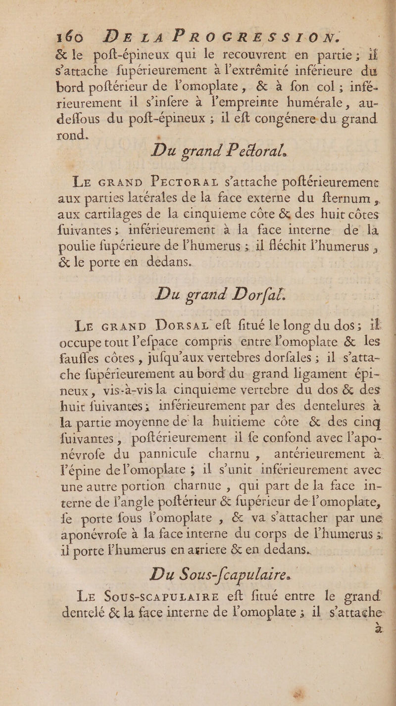 225 = s'attache fupérieurement à l'extrémité inférieure du bord poftérieur de l'omoplate, &amp; à fon col ; infé- rieurement il s’infere à l'empreinte humérale, au- deffous du poft-épineux ; il eft congénere du grand rond. A Du grand Petloral. LE GRAND PEcrTorar s'attache poftérieurement aux parties latérales de la face externe du fternum, aux cartilages de la cinquieme côte &amp; des huit côtes fuivantes ; inférieurement à la face interne de la e : bit io poulie fupérieure de lhumerus ; il fléchit humerus , &amp; le porte en dedans. Du grand Dorfal. Le cranp Donrsaz eft fitué le long du dos; 1 occupe tout l’efpace compris entre lomoplate &amp; les faufles côtes , jufqu’aux vertebres dorfales ; il s’atta- che fupérieurement au bord du. grand ligament épi- neux, vis-à-vis la cinquieme vertebre du dos &amp; des huit fuivantes: inférieurement par des dentelures à la partie moyenne de la huitieme côte &amp; des cinq fuivantes, poftérieurement il {e confond avec l’apo- l’épine de lomoplate ; il s’unit inférieurement avec une autre portion charnue , qui part de la face in- terne de l'angle poftérteur &amp; fupérieur de Pomoplate, fe porte fous lomoplate , &amp; va s'attacher par une aponévrofe à la face interne du corps de l’humerus : il porte Phumerus en agriere &amp; en dedans. Du Sous-/capulaire. | Le Sous-scapuLaIRE eft fitué entre le grand &amp;. ES Sac hbdt hu acte dE nn V2 ILE PT Po Pre dc Éd GS À