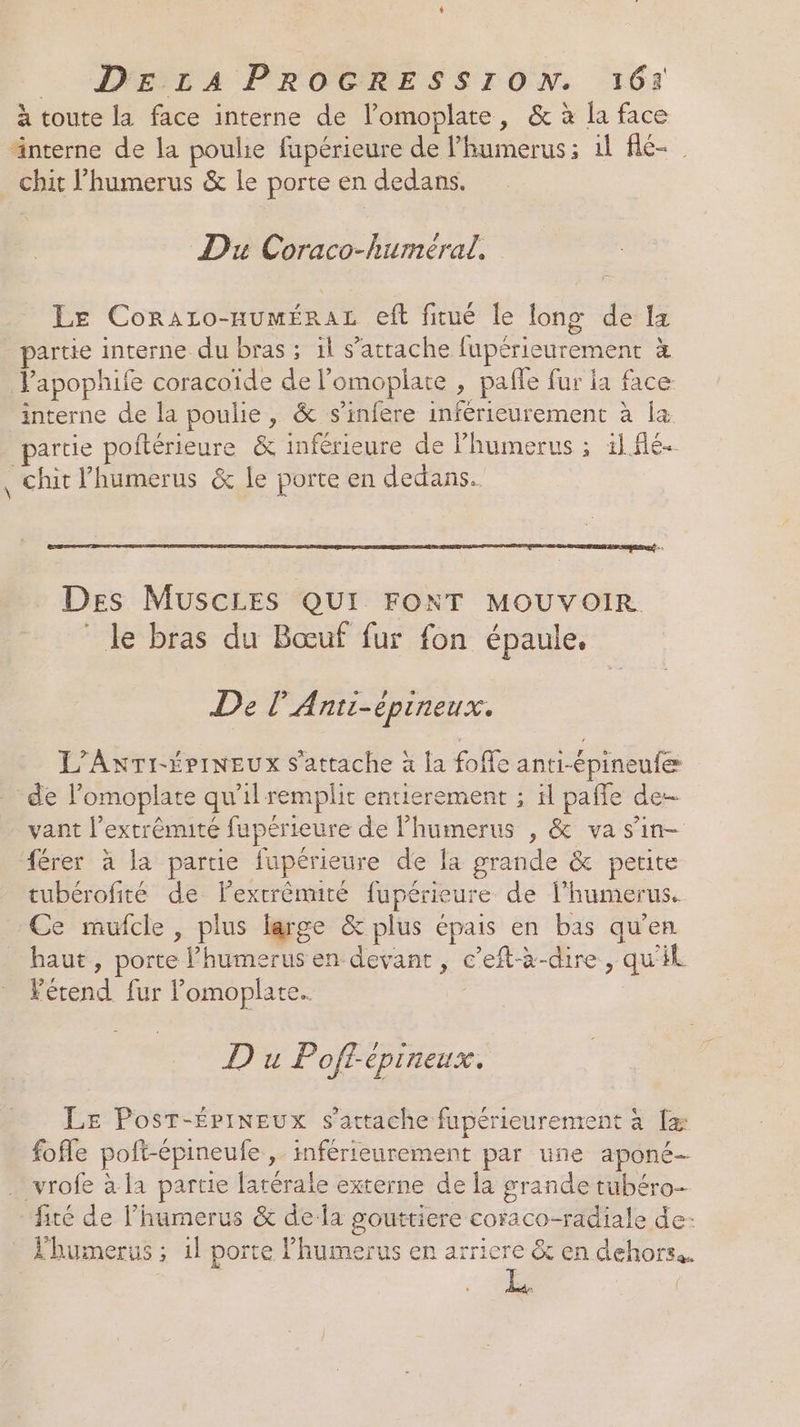 à toute la face interne de l’omoplate, &amp; à la face interne de la poulie fupérieure de Phumerus; 1l flé- chit l’humerus &amp; le porte en dedans. Du Coraco-humeéral, Le Coraro-numéRaL eft fitué le long de 1x partie interne du bras ; il s'attache fupérieurement à Papophife coracoïde de l’'omoplate , pafle fur la face interne de la poulie, &amp; s’infere inférieurement à la artie poftérieure &amp; inférieure de lhumerus ; 11flé- , chit lhumerus &amp; le porte en dedans. Des MUSCLES QUI FONT MOUVOIR le bras du Bœuf fur fon épaule, De l’Anti-épineux. L’'AnTI-ÉPINEUX s'attache à la fofle anti-épineufe de l’'omoplate qu’il remplit entierement ; il paffe de- vant l'extrémité fupérieure de l’humerus , &amp; va s’in- férer à la partie fupérieure de la grande &amp; petite tubérofité de Fextrêmité fupérieure de l’humerus. Ce mufcle , plus large &amp; plus épais en bas qu'en haut , porte l’humerus en devant, c’eft-à-dire, qu'il Vérend fur lomoplate. D u Poff-epineux. LE Post-ÉriNEux s'attache fupérieurement à {æ fofle poft-épineufe , inférieurement par une aponé- vrofe à la partie latérale externe de la grande tubéro- fité de l’humerus &amp; de la goutriere coraco-radiale de: Lhumerus ; 1l porte lhumerus en arriere &amp; en dehors. Le |