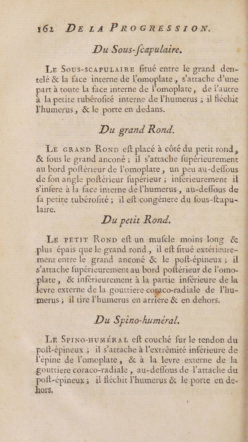 Du Sous-fcapulaire. Le Sous-scapuLaIRE fitué entre le grand den. telé &amp; la face interne de l’omoplate, s'attache d’une | part à toute la face interne de Fomoplate, de l'autre à la petite tubérofité interne de l’humerus ; àl Aéchie Fhumerus, &amp; le porte en dedans. Du grand Rond. Le craAnD Ron» eft placé à côté du peritrond, &amp; fous le grand anconé ; 1l s'attache fupérieurement au bord poftérieur de l’omoplate, un peu au-deflous de fon angle poftérieur fupérieur ; inférieurement il s’infere à la face inrerne de l’humerus, au-deflous de {a petite tubérofité ; il eft congénere du fous-ftapu- laire. Du petit Rond. Le PeriT Ronp eftun mufcle moins long &amp; plus épais que le grand rond, il eff fitué extérieure mént entre le grand anconé &amp; le poft-épineux ; äl s'attache fupérieurementau bord poftérieur de l’omo- plate, &amp; inférieurement à la partie inférieure de la levre extérne de la gouttiere cogaco-radiale de lhu- ‘merus ; il tire l'huimerus en arriere &amp; en dehors. Du Spino-huméral. LE Srrnxo-numéraL eft couché fur le tendon du poft-épineux ; : 1l s'attache à l’extrèmité inférieure de l’épine de l’omoplate, &amp; à la levre externe de la | &amp;outtiere coraco-radiale , au-deffous de l’attache du 4 RorPaoe il Géchic Phumerus &amp; le porte en de. M nOrS: | ù