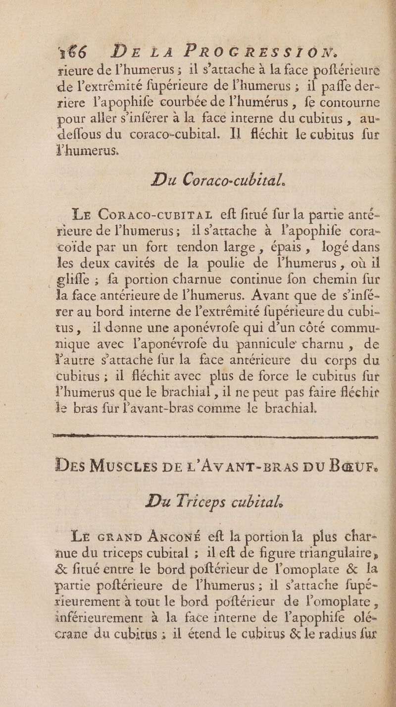 rieure de l’humerus ; 1l s’atrache à la face poftérieure de l’extrêmité fupérieure de l'humerus ; il pañle der- riere l’apophife courbée de l’humérus , fe contourne pour aller s’inférer à la face interne du cubitus, au- deffous du coraco-cubital. Il fléchit le cubitus fur l’humerus. Du Coraco-cubiral. _ LE Coraco-cuiTaz eff fitué fur la partie anté- rieure de l’humerus; îls’attache à l’apophife cora- toïde par un fort tendon large, épais, logé dans les deux cavités de la poulie de lhumerus , où il _ghfle ; fa portion charnue continue fon chemin fur la face antérieure de l’humerus. Avant que de s’infé- cer au bord interne de l’extrêmité fupérieure du cubi- tus, il donne une aponévrofe qui d’un côté commu- nique avec l’aponévrofe du pannicule charnu , de cubitus ; il fléchit avec plus de force le cubitus fur l’humerus que le brachial , il ne peut pas faire fléchir le bras fur l’'avant-bras comme le brachial. Des MUSCLES DE L’AYANT-BRAS DU B&amp;UF, Du Triceps cubitals Le cranD AKcoN* eft la portionla plus char- aue du triceps cubital ; 1left de figure triangulaire, &amp; fitué entre le bord poftérieur de l’omoplate &amp; la partie poftérieure de l’humerus ; il s'attache fupé- xieurement à tout le bord poftérieur de l’omoplate, inférieurement à la face interne de l’apophife olé- crane du cubitus ; il étend le cubitus &amp; le radius fur
