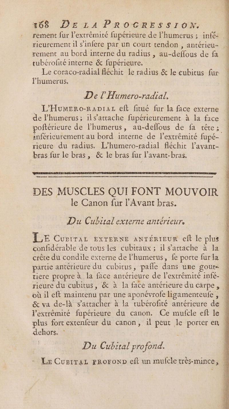 rement fur l’extrêémité fupérieure de lhumerus ; infé- rieurement 1l s’infere par un court tendon , antérieu- rement au bord interne du radius , au-deffous de fa tubérofité interne &amp; fupérieure. l’'humerus. De L'Humero-radial. _ L'HumeRo-RapraL eft fitué fur la face externe de l’humerus ; ils’attache fupérieurement à la face poftérieure de l’humerus, au-deflous de fa tête; rieure du radius. L’humero-radial fléchit l’avant- bras fur le bras, &amp; le bras fur l’avant-bras. ? DES MUSCLES QUI FONT MOUVOIR le Canon {ur l'Avant bras. Du Cubital externe antérieur, confidérable de tous les cubitaux ; il s'attache à la crête du condile externe de l’humerus, fe porte fur la partie antérieure du cubitus , pañle dans uRe gout tiere propre à. la face antérieure de l'extrémité infé- rieure du cubitus, &amp; à la face antérieure du carpe, où il eft maintenu par une aponévrofe lg l’extrèmité fupérieure du canon. Ce mufcle eft le plus fort extenfeur du canon, il peut le porter en dehors. Du Cubrrtal pro fond, É te SP RC