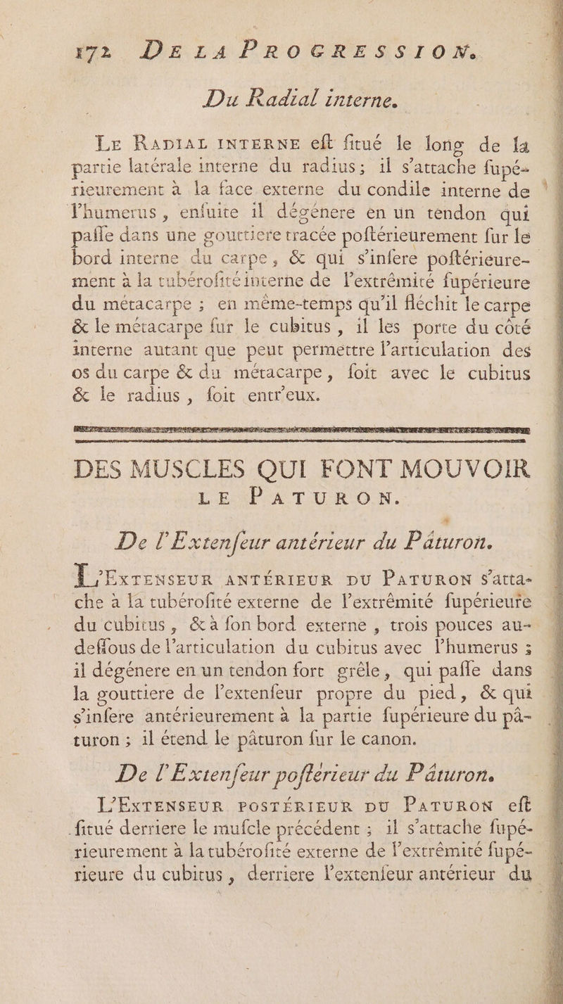 Du Radial interne. Le Rapiaz INTERNE eft fitué le long de {a partie latérale interne du radius; il s'attache fupé- rieurement à la face externe du condile interne de Phumerus, enfuite il dégénere en un tendon qui pañle dans une gouttiere tracée poftérieurement fur le bord interne du carpe, &amp; qui s'infere poftérieure- ment à la tubérofitéinterne de lextrémité fupérieure du métacarpe ; en même-temps qu’il fléchit le carpe &amp; le métacarpe fur le cubitus , il les porte du côté interne autant que peut permettre l'articulation des os du carpe &amp; du métacarpe, foit avec le cubitus &amp; le radius, foit entr'eux. De PE xtenfeur antérieur du Paturon. ’EXTENSEUR ANTÉRIEUR DU PATURON fatta- che à la tubérofité externe de l’extrémité fupérieure du cubitus, &amp; à fon bord externe , trois pouces au- deffous de l'articulation du cubitus avec l’humerus 3 il dégénere en un tendon fort grêle, qui pañle dans la gouttiere de l’extenfeur propre du pied, &amp; qui s'infere antérieurement à la partie fupérieure du pà- turon ; il étend le pâturon fur le canon. , LRO À De l'Extenfeur pofterieur du Päruron. | L’EXTENSEUR POSTÉRIEUR DU PATURON eft 4 fitué derriere le mufcle précédent ; 1l s'attache fupé- rieurement à latubérofité externe de l’extrémité fupé- « rieure du cubitus, derriere l’extenfeur antérieur du