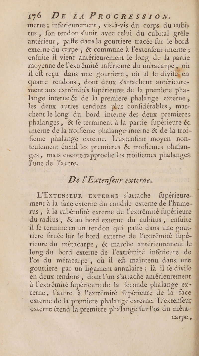 tus , fon tendon s’unit avec celui du cubital grêle enfuite il vient antérieurement le long de la partie moyenne de l'extrémité inférieure du métacarpe, où il eft reçu dans une gouttiere, où 1l fe diviffèn quatre tendons, dont deux s’attachent antérieure- inent aux extrémités fupérieures de la premiere pha- lange interne &amp; de la premiere phalange externe, les deux autres tendons plus confidérables, mar- chent le long du bord interne des deux premieres. phalanges, &amp; {e terminent à la partie fupérieure &amp;. interne de la troifieme phalange interne &amp; de la troi- fieme phalange externe. L'’extenfeur moyen non- feulement étend les premieres &amp; troifiemes phalan- ges, mais encore rapproche les troifiemes phalanges. l'une de Pautre. | De l'Extenfeur externe. rus , à la tubérofité externe de lextrêmité fupérieure Fos du méracarpe , où il eft maintenu dans une L sb yes Lan HE le RS A