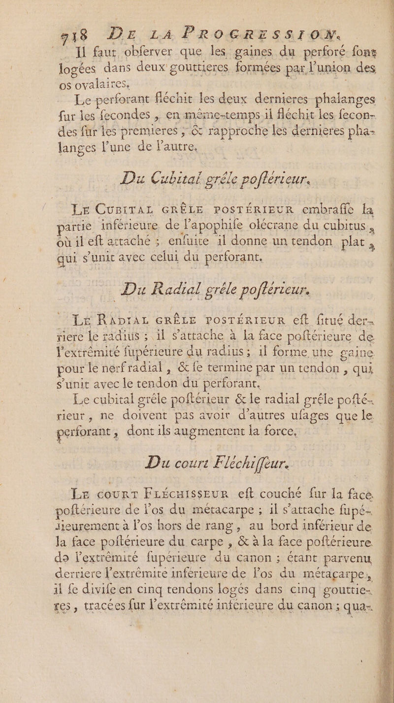 A Te 918 DE LA PROGRESSION. Hi faut obferver que les gaines du perforé font logées dans deux gouttieres formées par. V union des OS ovalaires, Le perforant fléchit les deux dernieres phalanges fur les fecondes > En me me-temps.il fléchit les fecon- des fur les premieres ;-&amp; rapproche les dernieres pha- langes l’une de l’autre, SUR ee y NES Du Cubital grêle poflérieur. mc Hé, LE CüsiTaz GRÈLE POSTÉRIEUR embraffe {a artie inférieure de J'apophile olécrane du cubitus à où il eft attaché : enfuite il donne un endon Plat à qui s’unit avec celui du perforant. | Dr Radial grêle poftérieur. Lé RADrAL GRÊLE POSTÉRIEUR eft fitué der. riere Le radius ; il s'attache à la face poftérieure de l'extrémité fupérieure du radius; il forme uhe gaine pour le nerfradial , &amp; fe termine par un tendon > qui s'unit avec le re | du perforant. Le cubital grêle poftérieur &amp; le radial grêle poité- rieur; ne doivent pas avoir d’autres ufages que le porforant , dont ils augmentent la force, Du court Fléchiffeur. Le court FLécuissEur eft couché fur {a face @ poftérieure de l'os du métacarpe ; il s'attache fapé- | | | Jieurement à l'os hors de rang , au bord inférieur de Ja face poitérieure du carpe, &amp; à la face poftérieure. do l'extrémité fupérieure ci canon ; étant parvenu, derriere l’extrêmite inférieure de los du métaçar pes 1 fe divife en cinq tendons logés dans cinq gouttie- res, tracées fur l’extrêmité inférieure du canon ; quaz.