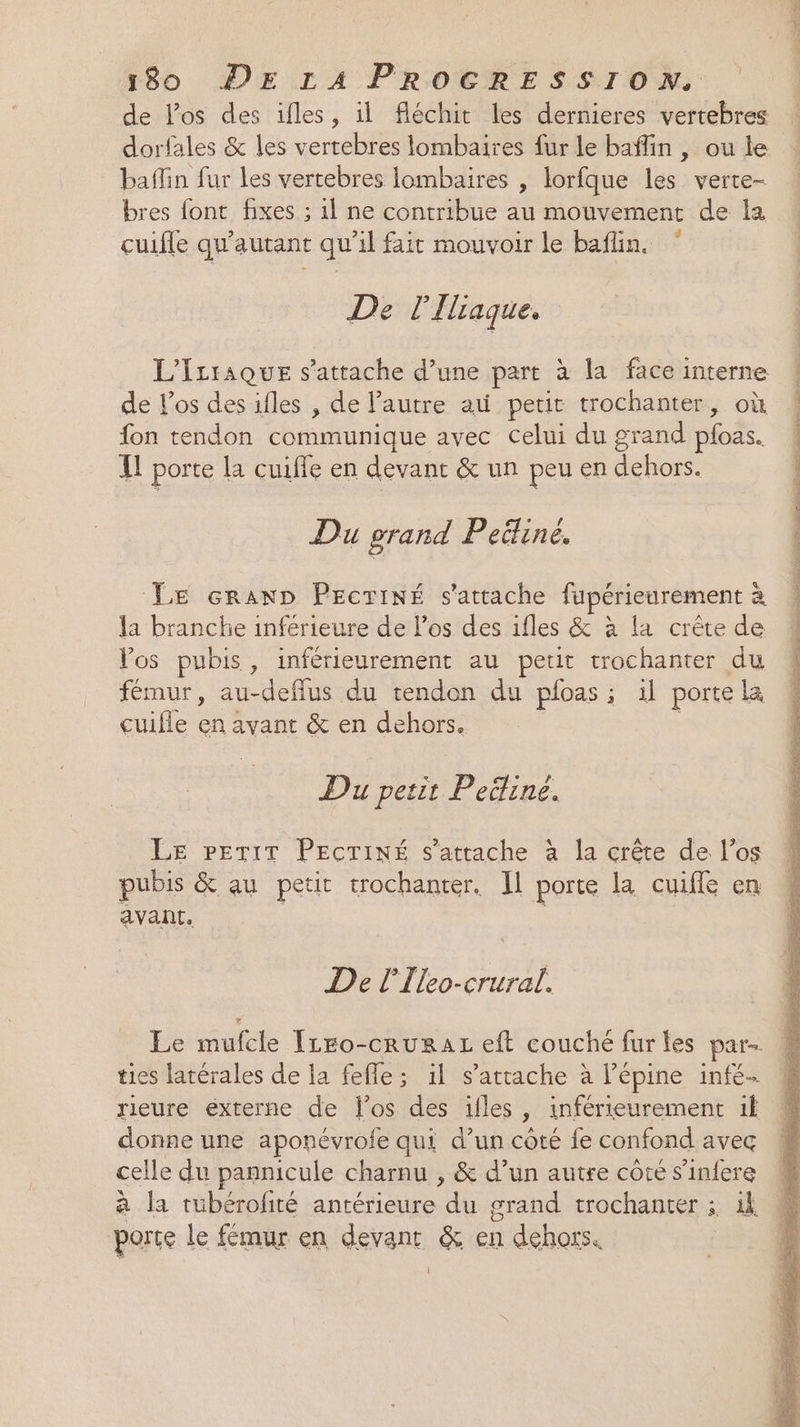 de l'os des ifles, il fléchit les dernieres vertebres dorfales &amp; les vertebres lombaires fur le baflin , ou Le baflin fur les vertebres lombaires , lorfque les verte- bres font fixes ; 1l ne contribue au mouvement de la cuifle qu'autant qu'il fait mouvoir le baflin. ” De l’Ilraque. L'Icraque s'attache d’une part à la face interne de Fos des ifles , de l’autre at petit trochanter, où fon tendon communique avec celui du grand pfoas. IL porte la cuifle en devant &amp; un peu en dehors. Du grand Peine. LE cranD PEcTiNÉ s'attache fupérieurement à la branche inférieure de l'os des ifles &amp; à la crête de Vos pubis, inférieurement au petit trochanter du fémur, au-deffus du tendon du ploas ; il porte La cuifle en avant &amp; en dehors. Du petit Peëiné. LE PETIT PECTINÉ s'attache à la crête de l’os pubis &amp; au petit trochanter. Il porte la cuifle en avant. | De l'Ileo-crural. Le mufcle ÎLeo-cruRaAL eft couché fur les par- ties latérales de la fefle; il s'attache à l’épine infé rieure externe de l'os des ifles , inférieurement if donne une aponévrofe qui d’un côté fe confond avec celle du pannicule charnu , &amp; d’un autre côté s’infere à la tubérofité antérieure du grand trochanter ; ik porte le fémur en devant &amp; en dehors.