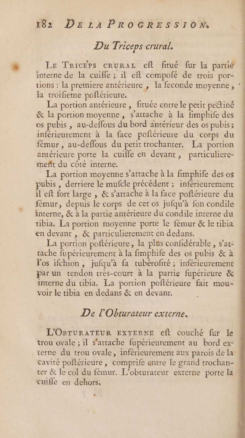 Du Triceps crural. interne de la cuiffe ; il eft compofé de trois por- tions : la premiere antérieure , la feconde moyenne, la troifieme poftérieure, La portion antérieure , fituée entre le petit pediné &amp; la portion moyenne, s'attache à la fimphife des os pubis , au-deffous du bord antérieur des os pubis; inférieurement à la face poftérieure du corps du fémur, au-deffous du petit trochanter. La portion antérieure porte la cuifle en devant, particuliere- meñt du coté interne. La portion moyenne s'attache à la fimphile des os pubis , derriere le mufcle précédent ; inférieurement il'eft fort large , &amp; s'attache à la face poftérieure du fémur, depuis le corps de cer os jufqu’à fon condile interne, &amp; à la partie antérieure du condile interne du tibia, La portion moyenne porte le fémur &amp; le tibia en devant , &amp; particulierement en dedans. | La portion poftérieure, la plus confidérable , s’at: tache fupérieurement à la fimphife des os pubis &amp; à Vos ifchion , jufqu’a fa tubérofité ; inférieurement par un tendon très-court à la partie fupérieure &amp; interne du tibia. La portion poftérieure fait mou- voir le tibia en dedans &amp; en devant. | De l'Obturateur externe. L'OBTuRATEUR EXTERNE eft couché fur Île *rou ovale ; il s'attache fupérieurement au bord ex- cavité poftérieure, comprife entre le grand trochan- cuifle en dehors,
