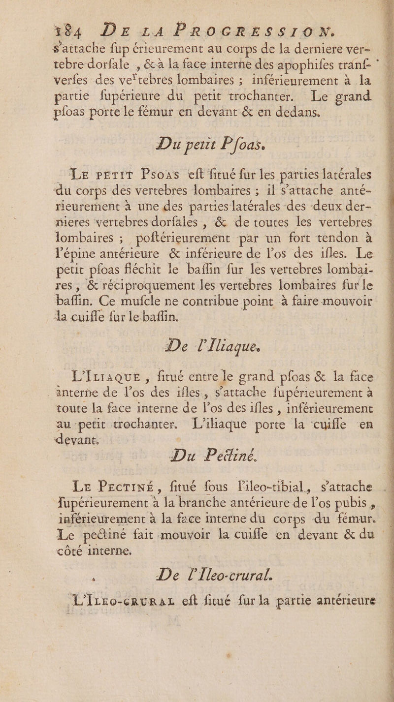 s'attache fup érieurement au corps de la derniere ver= tebre dorfale , &amp;à la face interne des apophifes tran£ verfes des ve‘tebres lombaires ; inférienrement à la artie fupérieure du petit trochanter. Le grand pioas porte le fémur en devant &amp; en dedans. Du perit P[oas, _ Le pertr Psous eft fitué fur les parties latérales ‘du corps des vertebres lombaires ; il s'attache anté- rieurement à une des parties latérales des deux der- meres vertebres dorfales , &amp; de toutes les vertebres lombaires ; poftérieurement par un fort tendon à Tépine antérieure &amp; inférieure de los des ifles. Le petit pfoas fléchit le baflin fur les vertebres lombai- res, &amp; réciproquement les vertebres lombaires fur le baflin. Ce mufcle ne contribue point à faire mouvoir la cuifle fur le bafin. De l'Iliaque. _ L'Irraque, fitué entre le grand pfoas &amp; la face _anterñe de l’os des ifles., s'attache fupérieurement à toute la face interne de l'os des ifles , inférieurement au petit trochanter. [L’iliaque porte la cuifle en devant. | Du Peitine. Le PecrTiné, fitué fous l'ileo-tibial, s'attache fupérieurement à la branche antérieure de l'os pubis, inférieurement à la face interne du corps du fémur. : Le pectiné fait mouvoir la cuifle en devant &amp; du | côté interne. | : De l'Ileo-crural. L'Izro-cruraL eft fitué fur la partie antérieure