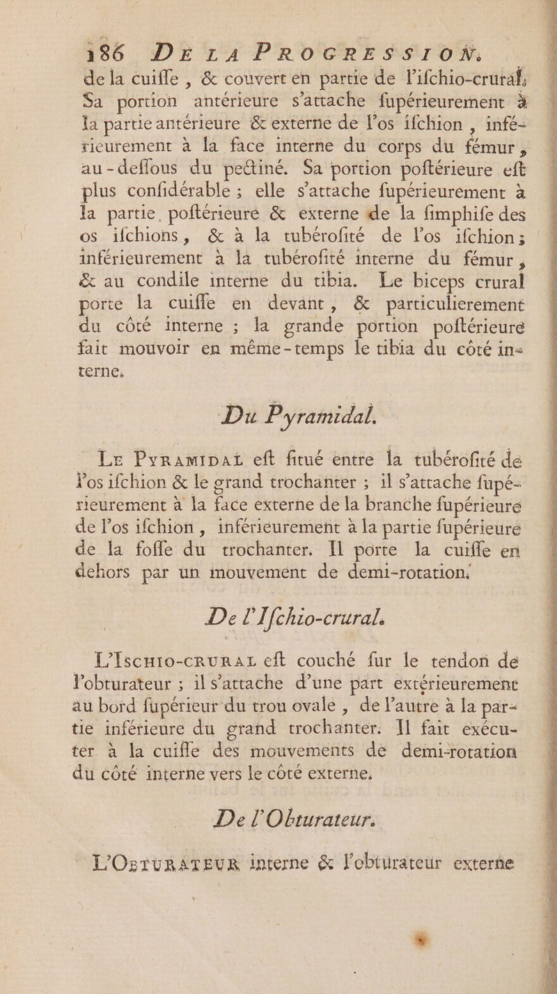 156 DErA PROGRESSION de la cuifle , &amp; couvert en partie dé lifchio-cruraf, Sa portion antérieure s'attache fupérieurement à la partie antérieure &amp; externe de l'os ifchion , infé- ricurement à la face interne du corps du fémur, au-deffous du pettiné. Sa portion poftérieure eft plus confidérable ; elle s'attache fupérieurément à la partie, poftérieuré &amp; externe de la fimphife des os ifchions, &amp; à la tubérofité de l'os ifchion; inférieurement à la tubérofité interne du fémur, &amp; au condile interne du tibia. Le biceps crural porte la cuiffe en devant, &amp; particulierement du côté interne ; la grande portion poftérieure fait mouvoir en même-temps le tibia du côté in< terne, Du Pyramidal. Le Pyramipaz eft fitué entre la tubérofité de Pos ifchion &amp; le grand trochanter ; il s'attache fupé- rieurement à la face externe de la branche fupérieuré de Pos ifchion, inférieurement à la partie fupérieure de la foffe du trochanter. Il porte la cuifle en dehors par un mouvement de demi-rotation: De l'Tfchio-crural. L'Iscuio-cruraz eft couché fur le tendon de lobturateur ; il s'attache d’une part extérieurement au bord fupérieur du trou ovale , de l’autre à la par= tie inférieure du grand trochanter. Il fait exécu- ter à la cuifle des mouvements de demi-rotation du côté interne vers le côté externe, De l'Obrurateur. L'OsTuRATEUR interne &amp; f'obtirateur externe