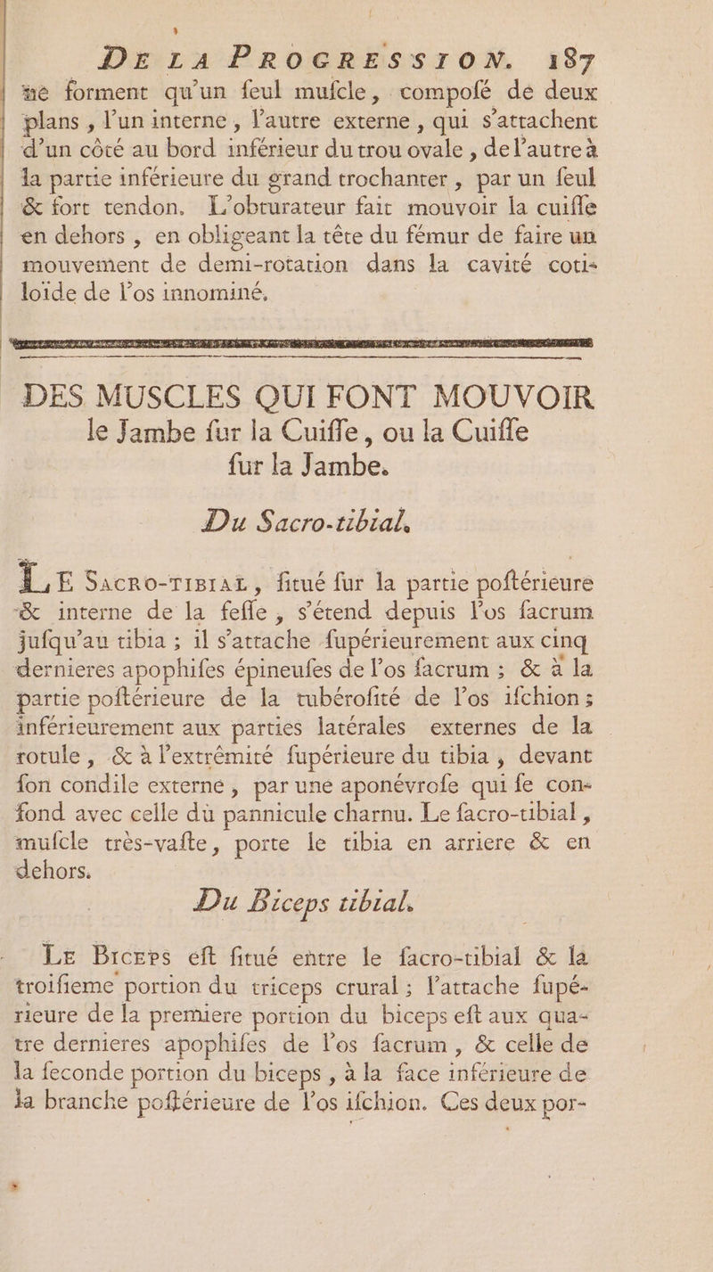 { L DE LA PROGRESSION. 187 “e forment qu'un feul mufcle, compofé dé deux plans , l’un interne , l’autre externe , qui s'attachent d’un côté au bord inférieur du trou ovale , de l’autre à la partie inférieure du grand trochanter, par un feul &amp; fort tendon. L’obturateur fait mouvoir la cuifle en dehors , en obligeant la tête du fémur de faire un mouveinent de demi-rotation dans la cavité coti- loïde de l’os innominé, DES MUSCLES QUI FONT MOUVOIR le Jambe fur la Cuifle, ou la Cuiffe fur la Jambe. Du Sacro-tibial, LE Sacro-TiBrAL, fitué fur la partie poftérieure “&amp; interne de la fefle, s'étend depuis los facrum jufqu’au tibia ; il s'attache fupérieurement aux cinq dernieres apophifes épineufes de l'os facrum ; &amp; à la partie poftérieure de la tubérofité de l’os 1fchion; inférieurement aux parties latérales externes de la rotule, &amp; à l'extrémité fupérieure du tibia, devant fon condile externe, par une aponévrofe qui fe con- fond avec celle du pannicule charnu. Le facro-tibial , mufcle très-vafte, porte le tibia en arriere &amp; en dehors. Du E iceps tibial, Le Brcrprs éft fitué entre le facro-tibial &amp; la troifieme portion du triceps crural ; l’attache fupé- rieure de la premiere portion du biceps eft aux qua- tre dernieres apophifes de l'os facrum, &amp; celle de la feconde portion du biceps , à la face inférieure de la branche poférieure de l'os ifchion. Ces deux por-