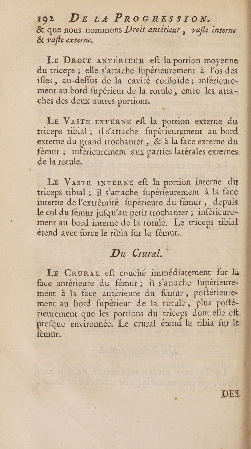 &amp; que nous nommons Droit antérieur , vafle interne &amp; vafle externe. Le Droit ANTÉRIEUR eft {a portion moyenne du triceps ; elle s’attache fupérieurement à l'os des tfles , au-deflus de la cavité cotiloide ; inférieure- ment au bord fupérieur de la rotule, entre les atta- ches des deux autres portions. Le Vasre ExTERNE eft la portion externe du triceps tibial ; il s'attache fupérieurement au bord. externe du grand trochanter , &amp; à la face externe du fémur ; inférieurement aux parties latérales externes. de la rotule. | LE Vaste 1NTERNE eft la portion interne du triceps tibial ; il s'attache fupérieurement à la face interne de l’extrêmité fupérieure du fémur, depuis le col du fémur jufqu’au petit trochanter ; inférieure- ! ment au bord interne de la rotule. Le triceps tibial ! étend avec force le tibia fur le fémur.. ; À] Du Crural. LE Cruraz eft couché immédiatement fur la face antérieure du fémur ; il s'attache fupérieure- 4 ment à la face antérieure du fémur, poitérieure- 4 ment au bord fupérieur de la rotule, plus poñté- # rieurement que les portions du triceps dont elle ef 4 prefque environnée. Le crural étend le tibia fur le: féœmur. | “HR