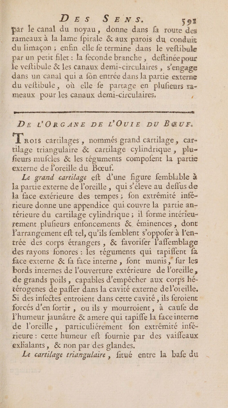 Des, S Hs. 5ox par le canal du noyau, donne dans fa route des rameaux à la lame fpirale &amp; aux parois du conduit du limaçon ; enfin elle fe termine dans le veftibule par un petit filet : fa feconde branche , deftinée pour le veftibule &amp; les canaux demi-circulaires , s'enpage dans un canal qui a fon entrée dans la partie externe du veftibule, où elle fe partage en plufieurs xa- meaux pour les canaux demi-circulaires, y Trois cartilages , nommés grand cartilage, car- tilage triangulaire &amp; cartilage cylindrique, plu- fieurs mufcles &amp; les céguments compofent la partie externe de l'oreille du Bœuf. Le grand cartilage eft d’une figure femblable à la partie externe de l'oreille, qui s’éleve au defius de la face extérieure des tempes ; fon extrêmité infé- rieure donne une appendice qui couvre la partie an- térieure du cartilage cylindrique ; il forme intérieu- rement plufeurs enfoncements &amp;, éminences , dont Varrangement eft tel, qu’ils femblent s’oppoler à l’en- trée des corps étrangers , &amp; favorifer l’aflemblage des rayons fonores : les téguments qui tapifient fa face externe &amp; fa face interne , font munis, fur les bords internes de l’ouverture extérieure de Poreille, de grands poils, capables d'empêcher aux corps hé- térogenes de pafler dans la cavité externe de l'oreille. Si des infectes entroient dans cette cavité , ils feroient forcés d’en fortir , ou ils y mourroient, à caufe de humeur jaunâtre &amp; amere qui tapifle la face interne de l'oreille, particuliérement fon extrémité infe- rieure : cette humeur eft fournie par des vaifleaux exhalants, &amp; non par des glandes. Le cartilage triangulaire, fitué entre la bafe du