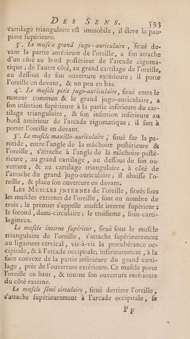 bi | DES Sens. __ÿo3 cartilage triangulaire eft immobile » il éleve la pau- piere fupérieure. É 3”. Le mufcle grand jugo-auriculaire , itué de: vänt la partié antérieure de l'oreille, a fon attache d’un côté au bord poftérieur de l’arcade z1ig0ma- tique ; dé l'autre côté, au grand cartilage de l'oreille, au deflous de fon ouverturé extérieure ; il porte l'oreille en devant, &amp; unpeuenbas. 4. Le rmufcle petit jugo-auriculaire, fitué entre le moteur commun &amp; le grand jugo-auriculaire, a {on infertion fupérieure à la partie inférieure du car- tilage triangulaire, &amp; fon infertion inférieure au bord antérieur de l’arcade zigomatique ; il fert à porter l'oreille en devant. | 5”. Le mufcle maxillo-auriculaire | fitué fur la pa- rotide , entre l’angle de la mâchoire poftérieure &amp; l'oreille, s’ättache à l'angle de la mâchoire pofté- | ricure , au grand Cartilagé , au deflous de fon ou- verture , &amp; au cartilage triangulaire , à côté de l'atrache du grand jugo-auriculaire ; il abaifle lo- reille, &amp; place fon ouverture en devant. Les Muscres inTERNESs de l'oreille , fitués fous les mufcles externes de l'oreille, font au nombre de crois ; le premier s'appelle mufcle interne fupérieur le fecond , demi-circulaire ; le troifieme , fous-carti- lagineux, | | Le mufcle interne fupérieur, fitué fous le mufcl triangulaire de l'oreille, s'attache fupérieurement au ligament cervical, vis-à-vis la protubérance oc- cipitale, &amp; à l’arcade occipitale; inférieurement , à La face convexe de la partie inférieure du grand carti- lage, près de l’ouverture extérieure, Ce mufcle porte l'oreille en haut , &amp; tourne fon ouverture extérieure du côté externe. our Le mufcle fémi circulaire , fitué derriere l'oreille, s'attache fupérieurement à l’arcade occipitale, fe PF p