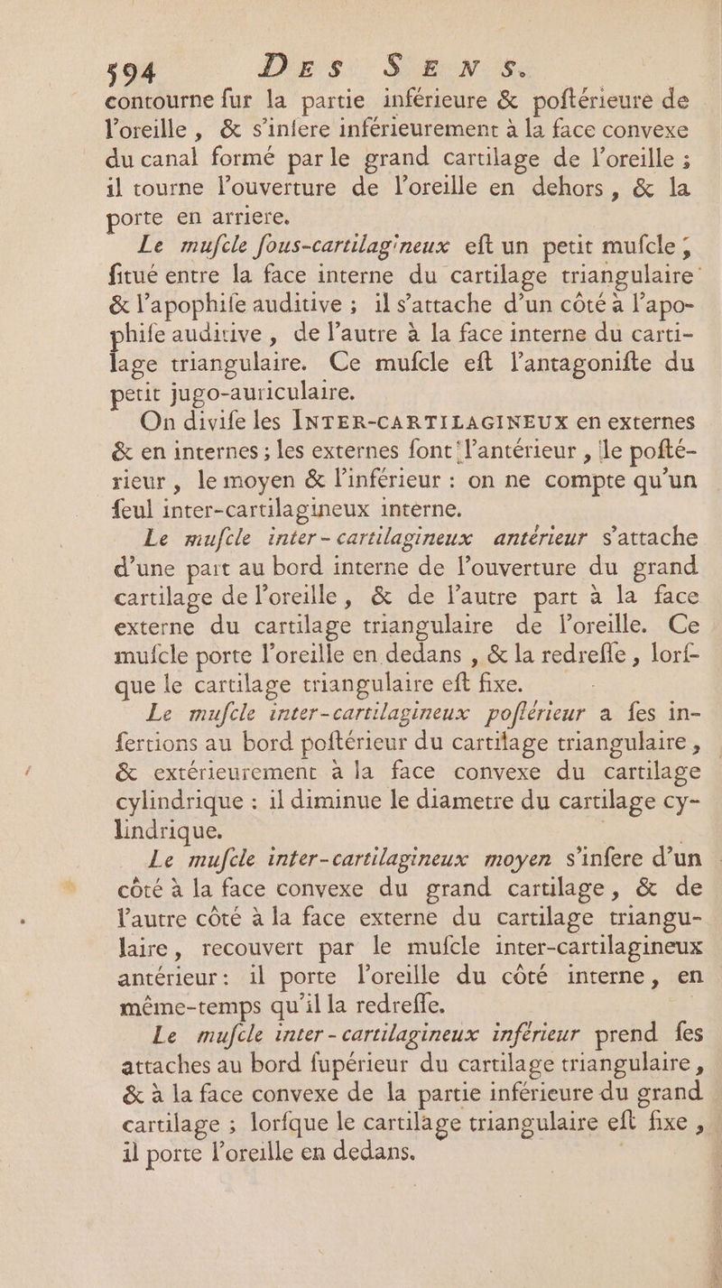 conrourne fur la partie inférieure &amp; poftérieure de l'oreille, &amp; s’iniere inférieurement à la face convexe du canal formé parle grand cartilage de l'oreille ; il tourne l’ouverture de loreille en dehors, &amp; la orte en arriere, | Le mufcle fous-cartilag'neux eft un petit mufcle, fitué entre la face interne du cartilage triangulaire &amp; l’apophile auditive ; il s'attache d’un côté à l’apo- phife audiive, de l’autre à la face interne du carti- lage triangulaire. Ce mufcle eft l’antagonifte du petit jugo-auriculaire. On divife les INTER-CARTILAGINEUX en externes &amp; en internes ; les externes font 'l’antérieur , ile pofté- rieur, le moyen &amp; l’inférieur : on ne compte qu’un feul inter-cartilagineux interne. Le mufcle inter-cartilagineux antérieur s'attache d’une part au bord interne de louverture du grand cartilage de l'oreille, &amp; de l’autre part à la face externe du cartilage triangulaire de loreille. Ce mufcle porte l'oreille en dedans , &amp; la redrefle , lorf- que le cartilage triangulaire eftfixe. Le mufcle inter-cartilagineux poflérieur a fes in- fertions au bord poftérieur du cartilage triangulaire, &amp; extérieurement à la face convexe du cartilage cylindrique : il diminue le diametre du cartilage cy- lindrique. : ù Le mufcle inter-cartilagineux moyen s'infere d’un côté à la face convexe du grand cartilage, &amp; de Vautre côté à la face externe du cartilage triangu- laire, recouvert par le mufcle inter-cartilagineux antérieur: il porte l'oreille du côté interne, en même-temps qu'il la redreffe. | Le mufcle inter-cartilagineux inférieur prend fes attaches au bord fupérieur du cartilage triangulaire, &amp; à la face convexe de la partie inférieure du grand cartilage ; lorfque le cartilage triangulaire eft fixe , il porte l'oreille en dedans. |