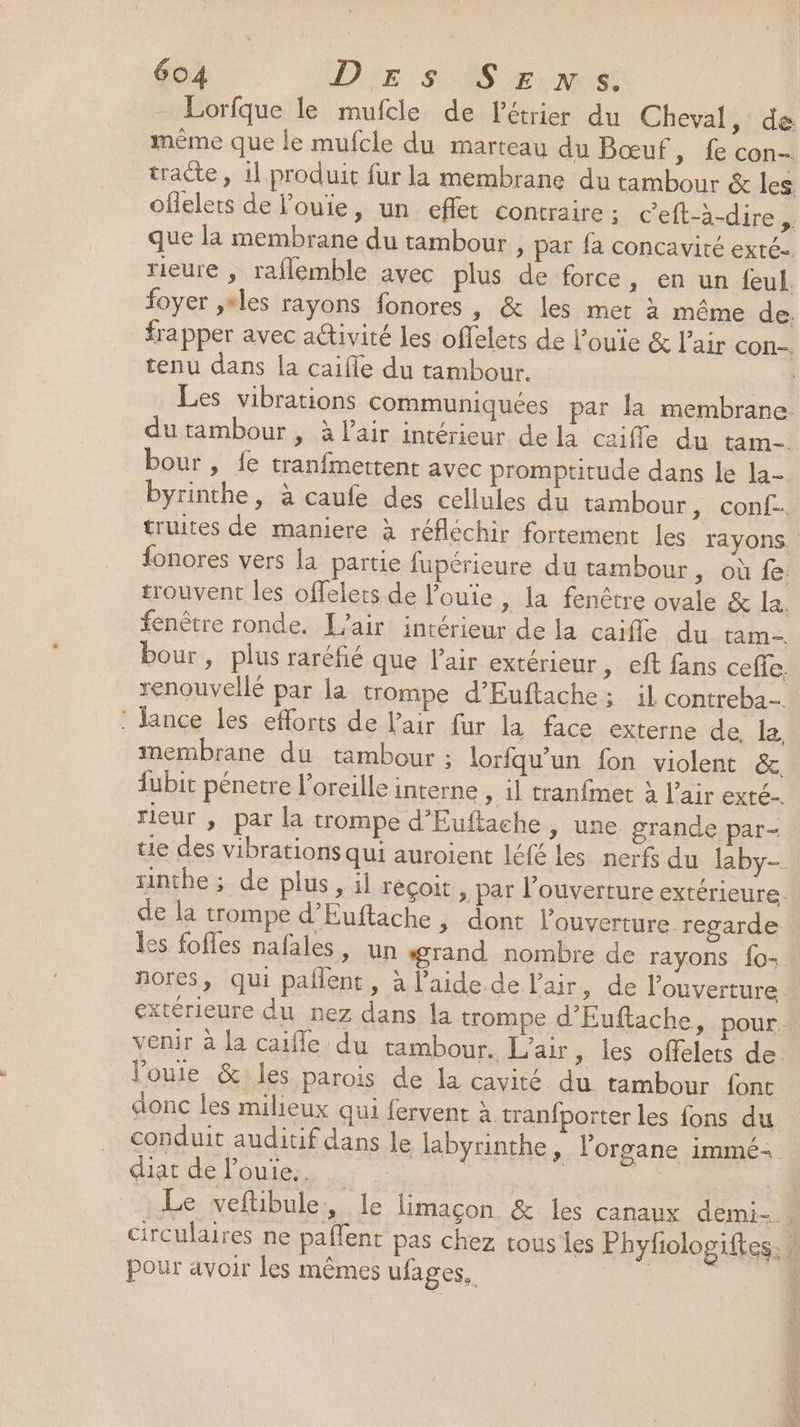 Lorfque le mufcle de l’étrier du Cheval , de même que le mufcle du marteau du Bœuf, fe con- tracte, il produit fur la membrane du tambour &amp; les ofelets de l’ouie, un effet contraire; ceft-à-dire ; que la membrane du tambour , par fa concavité exté rieure , raflemble avec plus de force, en un feul. foyer ,sles rayons fonores |, &amp; les met à même de. frapper avec a@tivité les offelets de l’ouie &amp; l'air con. tenu dans la caifle du tambour. | Les vibrations communiquées par la membrane du tambour , à l'air intérieur de la caiffe du tam. bour ,\ fe tranfmettent avec promptitude dans Le la- byrinthe, à caufe des cellules du tambour, conf. truites de maniere à réfléchir fortement les rayons. {onores vers la partie fupérieure du tambour , où fe. trouvent les offelets de l’ouie , la fenêtre ovale &amp; la. fenêtre ronde, L'air intérieur de la caifle du tam. bour , plus raréfié que l'air extérieur » eft fans ceffe. renouvellé par la trompe d’Euftache : il contreba : fance les efforts de l'air fur la face externe de, la. membrane du tambour ; lorfqu’un fon violent &amp;. fubit pénetre l'oreille interne , il tranfmet à l'air exté.. rieur , par la trompe d'Euftache , une grande par- tie des vibrations qui auroient léfé les nerfs du laby-. tinthe ; de plus, il reçoit, par l'ouverture extérieure. de la trompe d’Euftache ; dont louverrure regarde les fofles nafales, un grand nombre de rayons {o- nores, qui pañlent, à laide de l'air, de l'ouverture. extérieure du nez dans la trompe d’Euftache, pour. venir à la caifle du tambour. L'air , les offelets de. loue .&amp;yles parois de x cavité. du. tambour font donc les milieux qui fervent à tranfporter les fons du conduit auditif dans le labyrinthe, l'organe immé- diat de l’ouie... | Le veftibule, le limaçon &amp; les canaux demi- 4 circulaires ne paflent pas chez tousles Phyfologiftes. : pour avoir les mêmes ufages, | : |