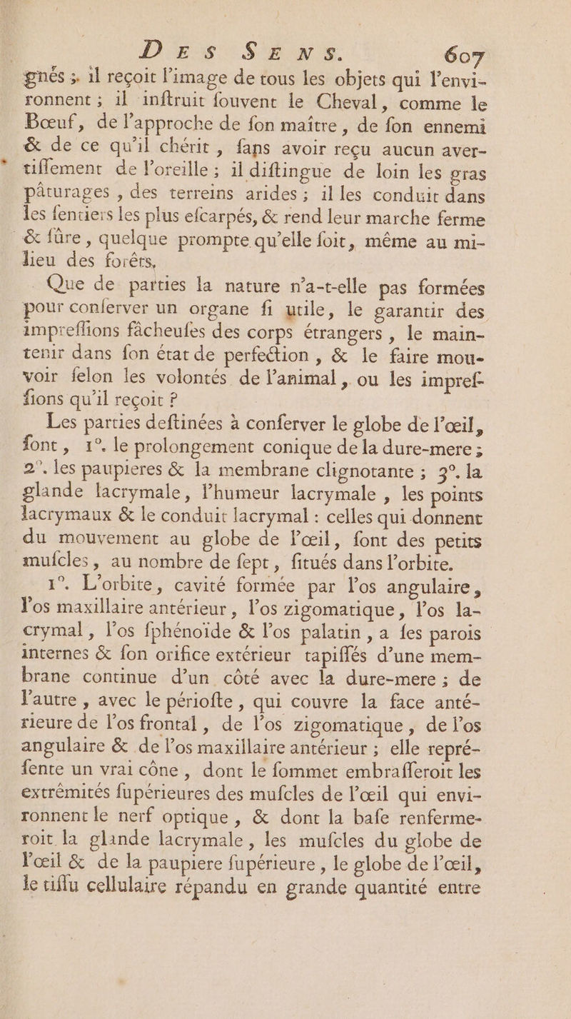 gnés 3. 1l reçoit l’image de tous les objets qui l'envi- ronnent ; 1} inftruit fouvent le Cheval, comme le Bœuf, de l'approche de fon maître, de fon ennemi &amp; de ce qu'il chérit, faps avoir reçu aucun aver- tiflement de l'oreille ; il diftingue de loin les pras pâturages , des terreins arides ; illes conduit dans les {entiers les plus efcarpés, &amp; rend leur marche ferme _&amp; fûre, quelque prompte qu’elle foit, même au mi- lieu des forêrs, | _ Que de parties la nature n’a-t-elle pas formées pour conlerver un organe fi utile, le garantir des impreflions fâcheufes des corps étrangers , le main- tenir dans fon état de perfection , &amp; le faire mou- voir felon les volontés de l’animal , ou les impref- fions qu'il reçoit ? Les parties deftinées à conferver le globe de l'œil, font, 1°. le prolongement conique de la dure-mere ; 2”. les paupieres &amp; la membrane clignotante ; 3°. la glande lacrymale, l’humeur lacrymale , les points lacrymaux &amp; le conduit lacrymal : celles qui donnent du mouvement au globe de l'œil, font des petits mufcles, au nombre de fept, fitués dans l'orbite. 1°. L'orbite, cavité formée par los angulaire, Jos maxillaire antérieur, los zigomatique, l'os la- crymal, l'os fphénoïde &amp; l'os palatin , a {es parois internes &amp; fon orifice extérieur tapiflés d’une mem- brane continue d’un côté avec la dure-mere ; de l'autre , avec le périofte , qui couvre la face anté- rieure de l'os frontal, de l'os zigomatique, de l'os angulaire &amp; de l’os maxillaire antérieur ; elle repré- fente un vrai cône, dont le fommet embrafferoit les extrémités fupérieures des mufcles de l'œil qui envi- ronnent le nerf optique, &amp; dont la bafe renferme- roit la glande lacrymale , les mufcles du globe de Voœil &amp; de la paupiere fupérieure , le globe de l'œil, le tu cellulaire répandu en grande quantité entre