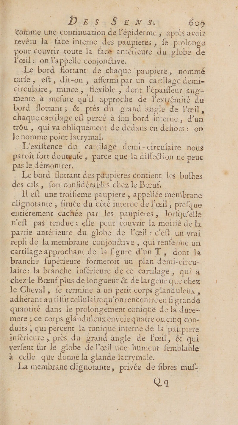 \ 2 Ce | E N $: _ Coë Cofnme une continuation de l’épiderme ; après avois revêtu la face interne des paupieres, fe prolongé pour couvrir toute la face antérieure du globe de l'œil : on l'appelle conjonétive. | Le bord flottant de chaque paupiere, nommé tarte, eft, dit-on , affermi par un cartilage demi- circulaire, mince, flexible , dont l’épaiffeur aug- mente à mefure qu'il approche de l'extrémité du bord flottant; &amp; près du grand angle de l'œil, chaque cartilage eft percé à fon bord interne, d’un trôu , qui va obliquement de dedans en dehoïs: on le nomme point lacrymal, | L’exiftence du cartilâge demi-circulaire nous paroit fort douteufe, parce que la diffeétion ne peue as le démontrer, LA . Le bord flottant des péupieres contient les bulbes des cils, fort confidérables chez le Bœuf, Ileft une troifieme paupiere ; appellée membrane clignotante , firuée du côte interne de l'œil, prefque entiérement Cachée par les paupieres, lorfqu’eile n'eft pas tendue; elle peut couvnir la moitié de la partie antérieure du globe de l'œil : c’eft un vrai cartilage approchant de la figure d’un T, dont la branche fupérieure formeroit un plan demi-circu- laire: a branche inférieure de ce cartilage , qui à le Cheval, fe termine à un petit corps glanduleux, adhérant au tiffu cellulairequ’onrencontreen fi grande quantité dans le prolongement conique de la dure- mere ; ce corps gländuléux envoie quatre ou cinq con: duits ; qui percent la tunique interne dé la patpiere verfent fur le globe de l'œil une humeur femblable à celle que donne la glande lacryimale. La membrane clignotante, privée de fibres muf- Q q