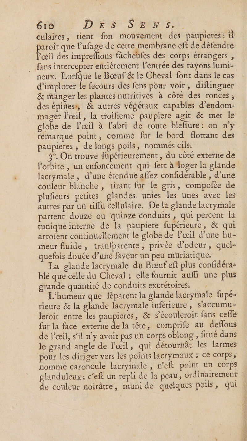culaires, tient fon mouvement des paupieres: il paroît que l’ufage de certe membrane eft de défendre l'œil des impreflions fâcheufes dés corps étrangers , fans intercepter entiérement l’éntrée dés rayons lumi- neux. Lorfque le Bœuf &amp; le Cheval font dans le cas d’implorer le fecours des fens pour voir, diftinguer &amp; ranger les plantes nutritives à côté des ronces; des épiñess, &amp; autres végétaux capables d’endom- maget l'œil, la troifieme paupiere agit &amp; mer le globe de l'œil à l'abri de toute bleffure: on n’y remarqué point, commé fur le bord flottant des paupieres ; de longs poils, nommés cils, | 3°. On trouve fupérieurement, du côté externe de lorbite , un enfoncement qui fert à loger la glande lacrymale , d’une étendue affez confidérable , d’une couleur blanche , tirant fur le gris, compofée de plufieurs petites glandes unies les unes avec les autres par un tiflu cellulaire. De la glande lacrymale partent douze ou quinze Conduits, qui percent la tunique interne de la paupiere fupérieure, &amp; qut arrofent continuellement le globe de l'œil d’une hu- meur fluide, tranfparente, privée d’odeur, quel- quefois douée d’une faveur un peu muriatique, La glande lacrymale du Bœufeft plus confidéra- blé que celle du Cheval ; elle fournit auf une plus grande quantité de conduits excrétoires, , L'humeur que féparent la glande lacrymale fupé- rieure &amp; la glande lacrymale inférieure, s'accumu- leroit entre les paupieres, &amp; s'écouleroit fans ceffe fur la face externe de la tête, comprife au deflous de l'œil, s’il n’y avoit pas un corps oblong , fitué dans le grand angle de l'œil, qui détournât les larmes pour les diriger vers les points lacrymaux ; ce corps, nommé caroncule lacrymale , n’eft point un corps glanduleux ; c’eft un repli de la peau, ordinairement de couleur noirâtre, muni de quelques pcils, qui