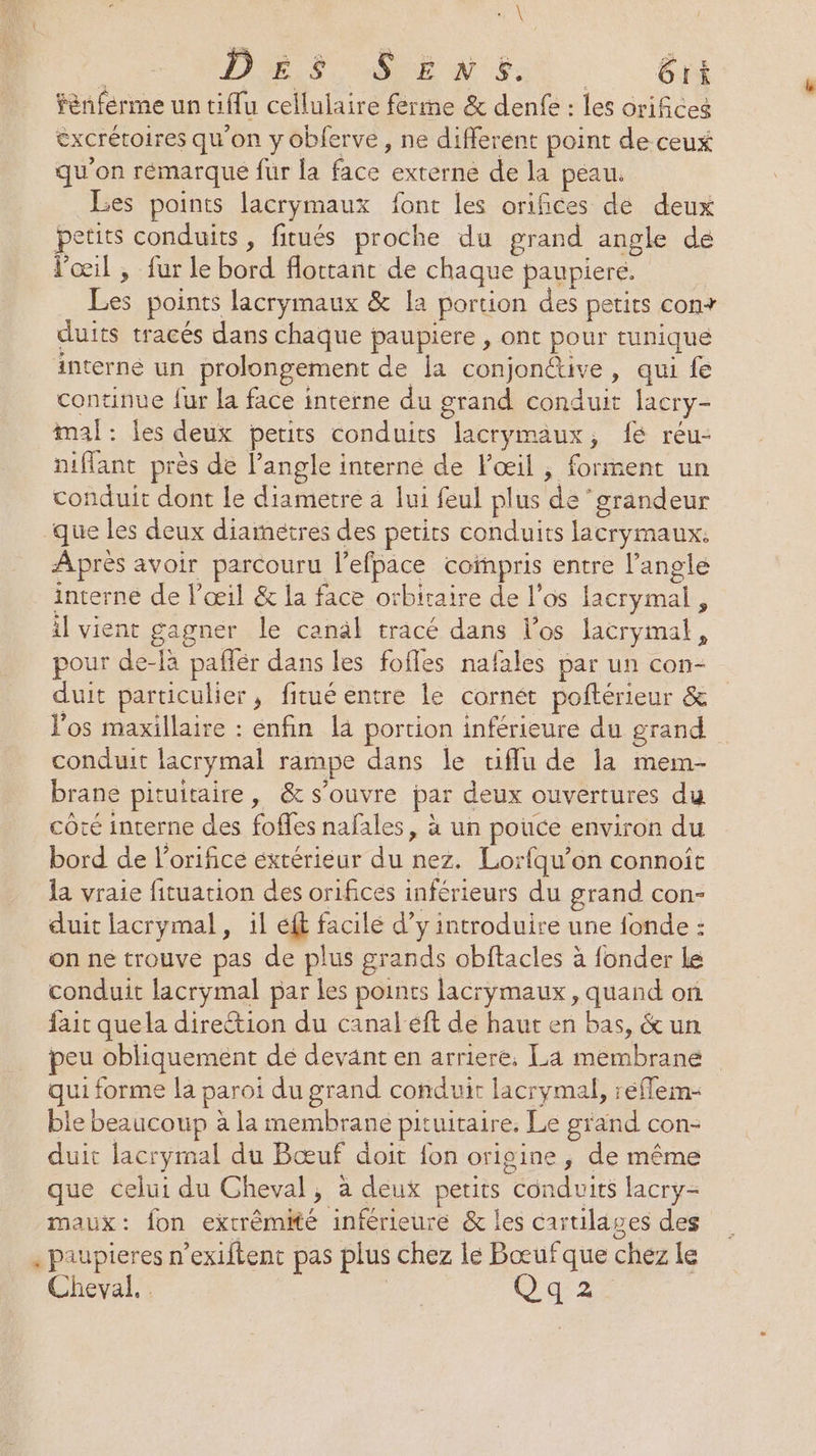 DER QUE NE. 6ri fènférme un ciflu cellulaire ferme &amp; dente : les orifices excrétoires qu'on y obferve, ne different point de ceux qu'on rémarque fur Lifce een le peau. Les points lacrymaux font les orifices de deux petits conduits, fitués proche du grand angle dé l'œil , fur le bord flottant de chaque paupiere. Les points lacrymaux &amp; la portion des petits con+ duits tracés dans chaque paupiere , ont pour tunique interne un prolongement de la RACE » QUE IE continue fur la face intèrne du grand conduit lacry- mal: les deux petits conduits eo un ; lé réu- niflant près de l'angle interne de l'œil , forment un conduit dont le diametre a lui feul plus de ‘grandeur que les deux diamétres des petits conduits lacrymaux: Après avoir parcouru l’efpace conpris entre l'angle interne de l'œil &amp; la face otbitaire de l'os lacrymal, il vient gagner le canäl tracé dans los lacrymal, pour de-là pañlèr dans les fofles nafales par un con- duit particulier, fitué entre le cornét poftérieur &amp; l'os maxillaire : enfin la portion inférieure du grand conduit lacrymal rampe dans le tiflu de la mem- brane pituitaire, &amp; s'ouvre pas deux ouvertures du côté interne des fofles nafales, à un pouce environ du bord de l'orificé extérieur du : nez. Lorfqu’on connoït la vraie fituation des orifices inférieurs du grand con- duit lacrymal, il ef facile d’y introduire une fonde : on ne trouve pas de plus grands obftacles à fonder le conduit lacrymal par les points lacrymaux, quand on fait quela direction du canaleft de haut en bas, &amp; un peu obliquement dé devant en arriere, La naine | qui forme la paroi du grand conduit lacrymal, réflem- ble beaucoup à la ru pituitaire. Le grand con- duit lacrymal du Bœuf doit fon origine, de même que celui du Cheval je a deux petits Æonduis lacry- maux: fon extrémité inférieure &amp; les cartilages des . Paupieres n’exiftent pas plus chez le Bœufque chez le Cheval. | Qq 2.