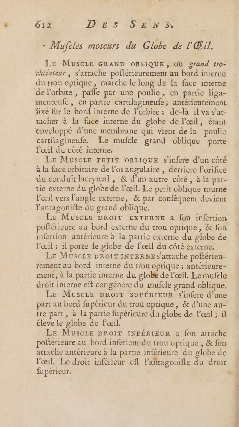 + Mufèls moteurs du Globe de l'Œil. LE MuscLE GRAND OBLIQUE, où grand tro- chleateur , s'attache poftérieurement au bord interné du trou optique , arche le long dè la face interne de Poibite , pafle par une poulie, en partie liga- menteufe , en partie cartilagineufe; antérieurement fixé fur le bord interne de l'orbite; de-là il va s’at- tacher à la face interne du globe de l'œil, étant enveloppé d’une membrane qui vient dela poulie cartilagineufe. Le mufclé grand oblique porte l'œil du côté interne. | Le Muscie PETIT OBLIQUE s’infere d’un côté à la face orbitaire de l’os angulaire , derriere l’orifice du conduit lacrymal , &amp; d’un autre côté, à la par- tie externe du globe de l’œil. Le petit oblique tourne l'œil vers l'angle externe, &amp; par conféquent devient antagonifte du grand oblique. | Le Muscre DROIT EXTERNE à fon infertion poftérieure au bord externe du trou optique, &amp; fon infertion antérieure à la partie externe du globe de Vœil ; 1l porte le globe de l'œil du côté externe. LE Müscze DRo1T INTERNE s'attache poitérieu- rement au bord interne du trou optique ; antérieure- ment, à la partie interne du globe de l'œil. Le mufcle droit interne eft Congénere du mufcle grand oblique. LE Muscie DROIT SUPÉRIEUR s'infere d’une part au bord fupérieur du trou optique, &amp; d’une au- tre part, à la partie fupérieure du globe de l'œil ; il éleve le globe de l’œil. LE Muscre DROIT INFÉRIEUR à fon attache poftérieure au bord inférieur du trou optique , &amp; fon attache antérieure à la partie inférieure du globe de l'œil. Le droit inférieur eft l’añtagonifte du droit fupérieur, |