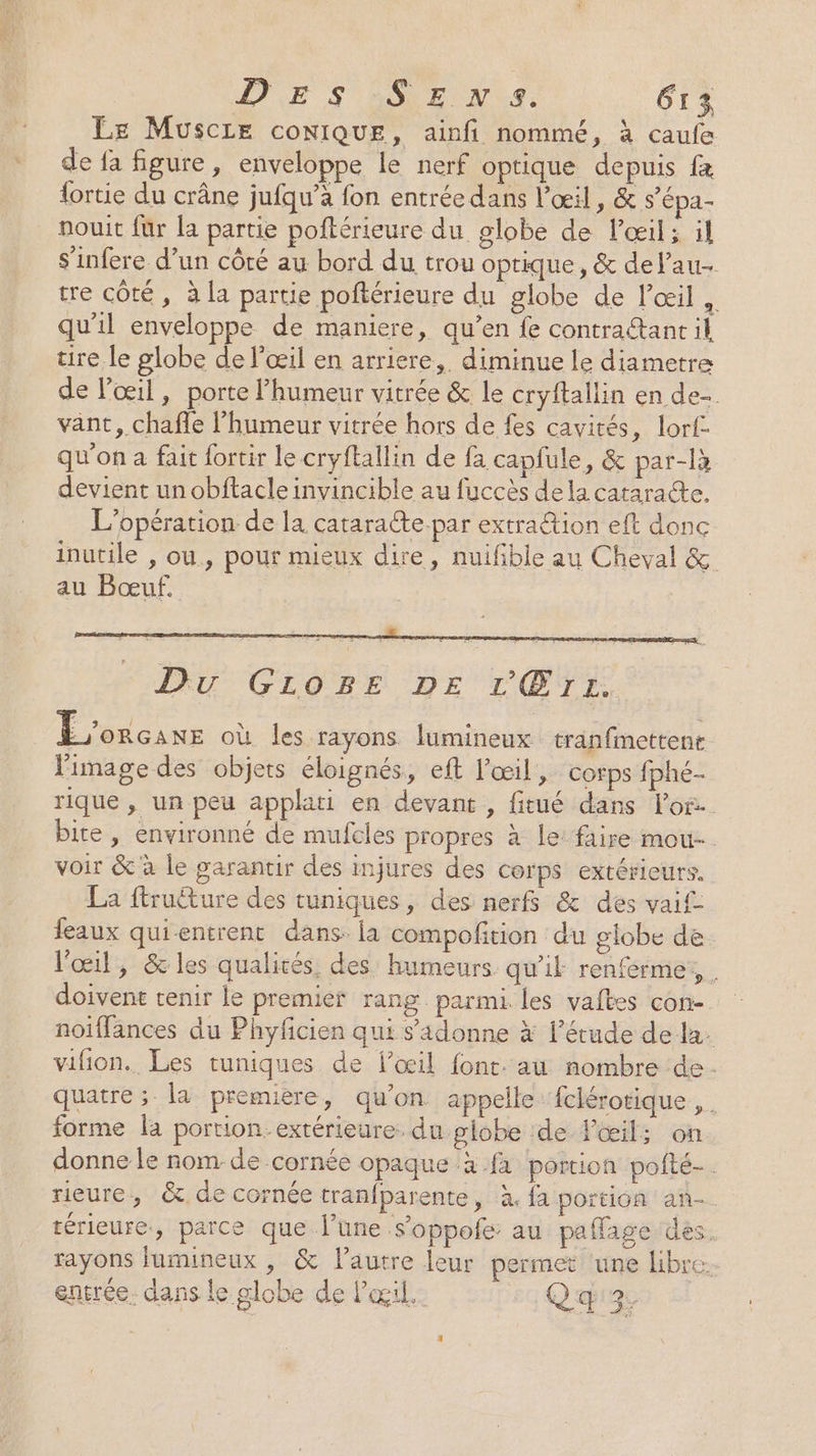 LE Muscre cONIQUE, ainfi nommé, à caufe de fa figure, enveloppe le nerf optique depuis f&amp; lortie du crâne jufqu’à fon entrée dans l'œil, &amp; s’épa- nouit für la partie poftérieure du globe de lœil; il s'infere d’un côté au bord du trou optique, &amp; del'au- tre côté, à la partie poftérieure du globe de l'œil qu'il enveloppe de maniere, qu’en fe contra@antil tire le globe de l'œil en arriere, diminue le diametre de l'œil, porte humeur vitrée &amp; le cryftallin en de-. vant, chafe l'humeur vitrée hors de fes cavités, lorf- qu'on a fait fortir lecryftallin de fa capfule, &amp; par-là devient un obftacle invincible au fuccès dela cataracte. L'opération de la cataracte par extraétion eft donc inutile , ou, pour mieux dire, nuifble au Cheval &amp; au Bœuf. Éorcane où les rayons lumineux tranfinettene. image des objets éloignés, eft l'œil, corps fphé- rique , un peu applari en devant, fitué dans l'or bite , environné de mufcles propres à le: faire mou. voir &amp; à le garantir des injures des corps extérieurs. La ftructure des tuniques, des nerfs &amp; des vai£ eaux quientrent dans: la compofition du globe de l'œil, &amp; les qualités, des humeurs qu'il renferme’, . doivent tenir le premier rang parmi les vaftes con- noïiffances du Phyficien qui s’adonne x l'étude de la vifion. Les tuniques de l’œil font. au nombre de quatre; la premiere, qu’on appelle fclérotique , . forme la portion extérieure. du giobe de l'œil; on donne le nom. de cornée opaque a fa portion pofté-. rieure, &amp; de cornée tranfparente, à, fa portion an- térieure, parce que l’une s’oppofe au paflage des. rayons lumineux , &amp; l’autre leur permet une libre. entrée. dans le globe de l'œil. Q q 3