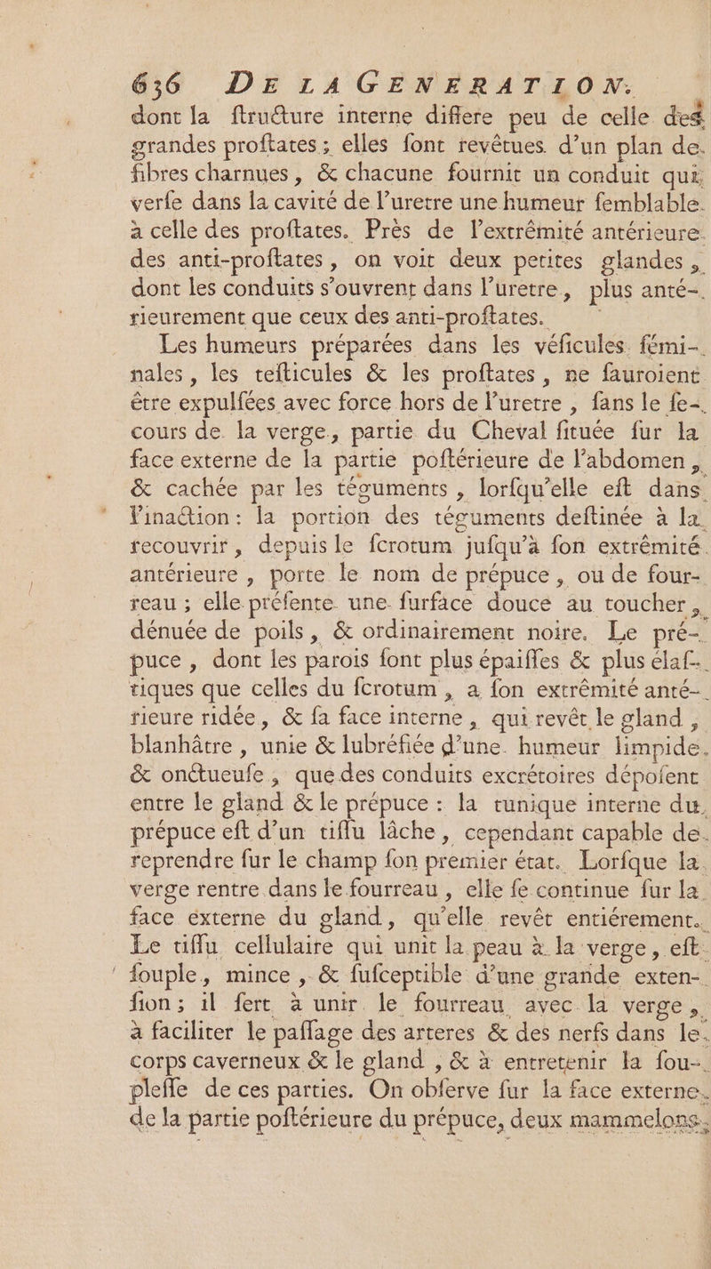 dont la ftruéture interne difiere peu de celle. des grandes proftates ; elles font revêtues d’un plan de. fibres charnues, &amp; chacune fournit un conduit qui, verfe dans la cavité de l’uretre une humeur femblable. a celle des proftates. Près de l’extrémité antérieure: des antt-proftates, on voit deux petites glandes, dont les conduits s'ouvrent dans l’uretre, plus anté-. rieurement que ceux des anti-proftates. Les humeurs préparées dans les véficules. fémi-. nales , les teiticules &amp; les proftates, ne fauroient être expulfées avec force hors de luretre , fans le fe. cours de. la verge, partie du Cheval fituée fur la face externe de la partie poftérieure de l'abdomen, &amp; cachée par les tésuments , lorfqu’elle eft dans Finaction: la portion des tésuments deftinée à la. recouvrir, depuis le fcrotum jufqu’à fon extrémité. antérieure , porte le nom de prépuce , ou de four- reau ; elle préfente une furfäce douce au toucher, dénuée de poils, &amp; ordinairement noire. Le pré- puce , dont les parois font plus épaifles &amp; plus élaf.. tiques que celles du fcrotum , a fon extrémité anté- rieure ridée, &amp; fa face interne, qui revêt le gland, blanhâtre , unie &amp; lubréfiée d’une. humeur limpide. &amp; onétueufe, que des conduits excrétoires dépofent entre le gland &amp; le prépuce : la tunique interne du. prépuce eft d’un tiflu lâche, cependant capable de. reprendre fur Le champ fon premier état. Lorfque la. verge rentre dans le fourreau , elle fe continue fur la face externe du gland, qu’elle revêt entiérement.. Le tiffu cellulaire qui unit la peau à la verge, eft. ‘ fouple, mince , &amp; fufceptible d’une grande exten-. fion ; il fert à unir. le fourreau, avec la verge, a faciliter le paflage des arteres &amp; des nerfs dans le. corps caverneux &amp; le gland , &amp; à entretenir la fou-. plefe de ces parties. On obferve fur la face externe. de la partie poftérieure du prépuce, deux mammelons.