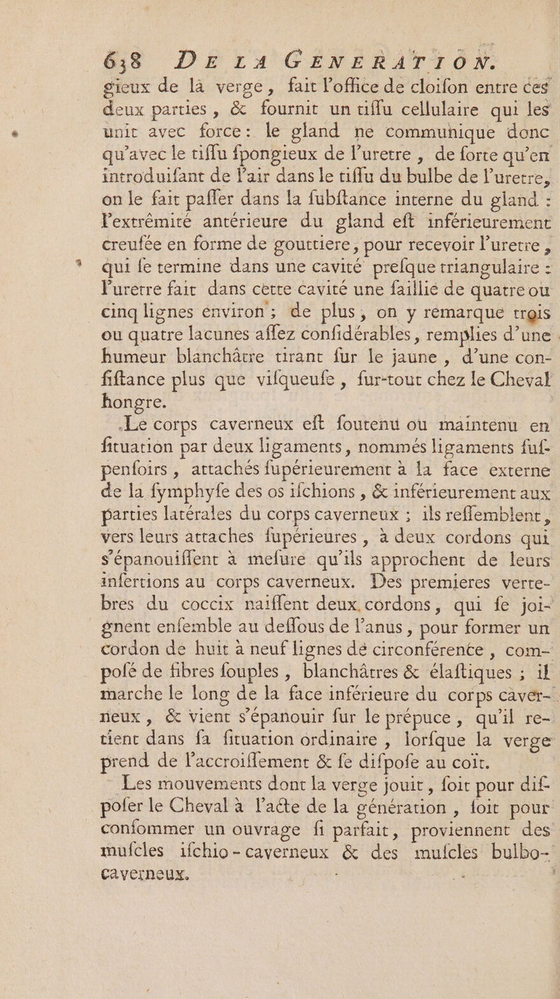 sieux de là verge, fait loffice de cloifon entre ces deux parties , &amp; fournit un uiffu cellulaire qui les unir avec force: le gland ne communique donc qu'avec le tiffu fpongieux de l’uretre , de forte qu’en introduifant de l'air dans le tiflu du bulbe de l’uretre, on le fait pafler dans la fubftance interne du gland : lextrémité antérieure du gland eft inférieurement creufée en forme de gouttiere, pour recevoir Puretre, qui fe termine dans une cavité prelque triangulaire : Furétre fair dans cette cavité une faillié de quatreou _cing lignes environ; de plus, on y rémarque trois ou quatre lacunes affez confidérables, remplies d’une. humeur blanchâtre tirant fur le jaune , d’une con- fiftance plus que vifqueufe , fur-tour chez Le Cheval hongre. Le corps caverneux eft foutenu ou maintenu en fituation par deux ligaments, nommés ligaments fuf- enfoirs , attachés fupérieurement à la face externe de la fymphyfe des os ifchions , &amp; inférieurement aux parties latérales du corps caverneux ; ils reffemblent, vers leurs atraches fupérieures , à deux cordons qui s’épanouiflent à mefure qu’ils approchent de leurs infertions au corps caverneux. Des premieres verte- bres du coccix naïffent deux. cordons, qui fe joi- gnent enfemble au deflous de l'anus, pour former un cordon de huit à neuf lignes dé circonférente , com- pofé de fibres fouples , blanchâtres &amp; élaftiques ; il marche le long de la face inférieure du corps caver- eux, &amp; vient s'épanouir fur le prépuce, qu'il re- tient dans fa fituation ordinaire , lorfque la verge prend de l’accroiflement &amp; fe difpofe au coït. Les mouvements dont la verge jouit, foit pour dif pofer le Cheval à l’aéte de la génération , {oit pour confommer un ouvrage fi parfait, proviennent des mufcles ifchio-caverneux &amp; des mulcles bulbo- caverneux. Hd