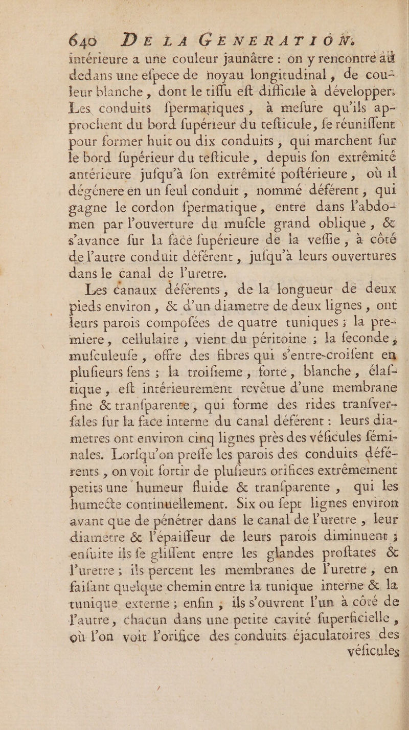intérieure a une couleur jaunâtre : on y rencontré a dedans une efpece de noyau longitudinal, de cou= leur blanche , dont le tiflu eft difficile à développer: Les conduits fpérmariques, à mefure qu'ils ap- prochent du bord fupérieur du tefticule, fe réuniffent | our former huit ou dix conduits, qui marchent fur le bord fupérieur du tefticule, depuis fon extrémité antérieure jufqu’à fon extrémité poftérieure, où 1l dégénere en un feul conduit , nommé déférent, qui gagne le cordon fpermatique, entre dans l’abdo- men par l’ouverture du mufcle grand oblique, &amp; s’avance fur la face fupérieure de la veflie, à côté de l’autre conduit déférent , juiqu’à leurs ouvertures dans le canal de Purerre. Les Canaux déférents, de la longueur de deux pieds environ, &amp; d’un diametre de deux lignes, ont leurs parois compofées de quatre tuniques ; la pre- miere, cellulaire , vient du péritoine ; la feconde; mufculeufe , offre des fibres qui s’entre-croifent em plufieurs fens ; la troifieme, forte, blanche, élaf- rique , eft intérieurement revèêtue d’une membrane fine &amp; tranfparente, qui forme des rides tranfver- fales fur la face interne du canal déférent : leurs dia- metres ont environ cinq lignes près des véficules fémi- nales. Lorfqu’on preffe les parois des conduits défé- rents , on voit fortir de plufieurs orifices extrêmement petitsune humeur fluide &amp; tranfparente , qui les humete continuellement. Six ou fept lignes environ avant que de pénétrer dans le canal de Puretre , leur diainerre &amp; l’épaiffeur de leurs parois diminuent ; enfuite ils fe gliflent entre les glandes proftates &amp; l’uretre ; ils percent les membranes de luretre , en faifant quelque chemin entre la tunique interne &amp; la tunique externe ; enfin ; ils s'ouvrent lun à côté de Pautre, chacun dans une petite cavité faperfcielle , où l’on voit Porifice des conduits éjaculatoires des, véficules \