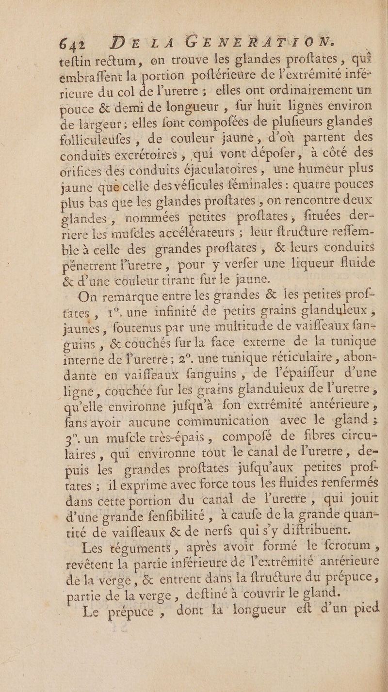teftin rectum, on trouve les glandes proftates, qui embrafent la portion poftérieure de l'extrémité infé- rieure du col de luretre ; elles ont ordinairement un pouce &amp; demi de longueur , fur huit lignes environ de largeur; elles font compofées de plufieurs glandes folliculeufes , de couleur jaune, d'où partent des conduits excrétoires , qui vont dépofer, à côté des orifices des conduits éjaculatoires, une humeur plus jaune que celle des véficules féminales : quatre pouces plus bas que les glandes proftates , on rencontre deux glandes, nommées petites proftates, firuées der- riere les mufcles accélérateurs ; leur ftruture reflem- ble à celle des grandes proftates , &amp; leurs conduits pénetrent l’uretre, pour y verfer une liqueur fluide &amp; d’une couleur tirant fur le jaune. On remarque entre les grandes &amp; Îes petites prof- fates , 1°. une infinité de petits grains glanduleux , jaunes , foutenus par une multitude de vaifleaux fan+ guins , &amp; couchés furla face extérne de la tunique _ interne de l’uretré ; 2°, uné tunique réticulaire , abon- dante en vaifleaux fanguins , de lépaiffeur d’une ligne, couchée fur les grains glanduleux de l'uretre, qu’elle environné jufqu'à fon extrémité antérieure, fans avoir aucune communication avec le gland ; 3°.un mufcle très-épais, compofé de fibres circu- laires, qui environne tout le canal de Puretre, de- puis les grandes proftatés jufqu'aux petites prof- tates ; il exprime avec force tous les fluides renfermés dans cette portion du canal de Puretfe, qui jouit . d’une grande fenfibilité, à caufe de la grande quan- tité de vaifleaux &amp; de nerfs qui s’y diftribuent. Les téguments, après avoir formé le fcrotum, revêtent la partie inférieure de l'extrémité antérieure de la verge, &amp; entrent dans la ftructure du prépuce, partie de la verge, deftiné à couvrir le gland.