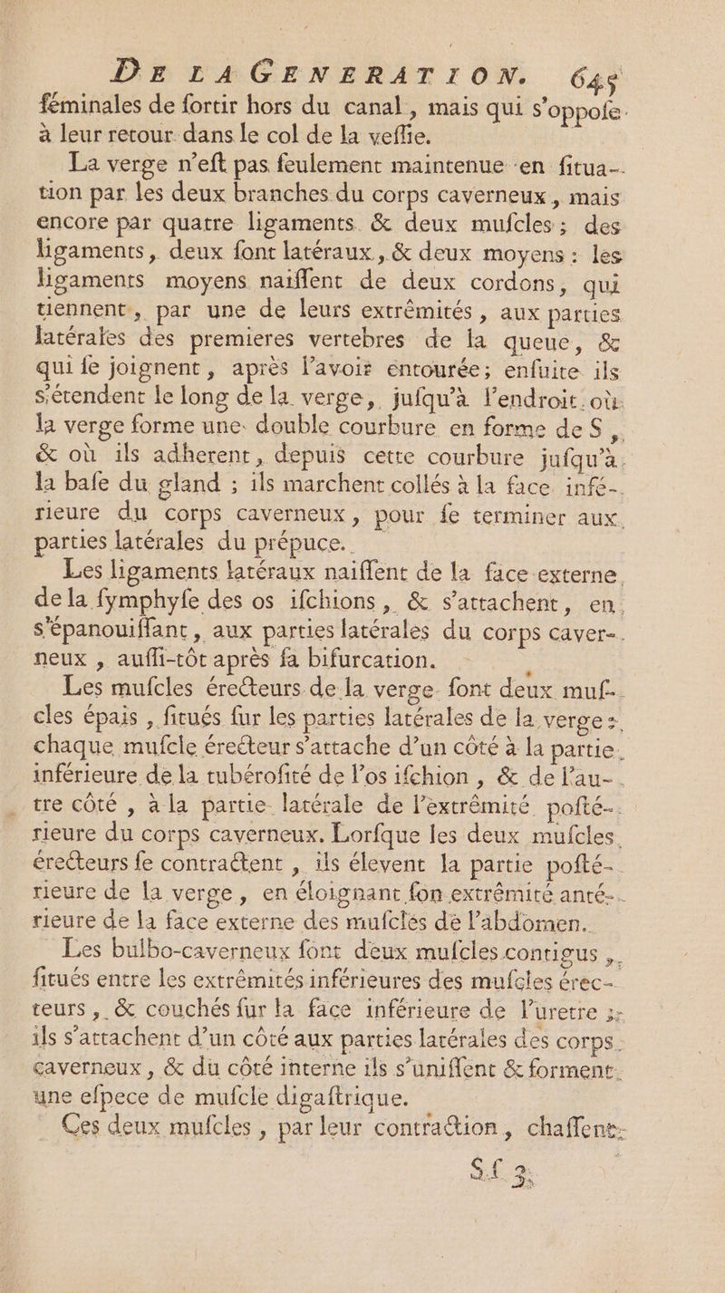 féminales de fortir hors du canal, mais qui s’oppole. à leur retour dans le col de la vefle. | La verge n’eft pas feulement maintenue en fitua. tion par les deux branches du corps caverneux, mais encore par quatre ligaments &amp; deux mufcles; des ligaments, deux font latéraux, &amp; deux moyens : les ligaments moyens naïflent de deux cordons, qui tiennent, par une de leurs extrêmités, aux parties latérales des premieres vertebres de la queue, &amp; qui {e joignent, après l’avois éntourée; enfuite ils s’étendent le long de la verge, jufqu'à lendroit. où. la verge forme une. double courbure en forme deS, &amp; où ils adherent, depuis cette courbure jufqu’à. la bafe du gland ; ils marchent collés à la face inf. rieure du corps caverneux, pour fe terminer aux. parties latérales du prépuce. Les ligaments latéraux naiflent de la face egterne. de la fymphyfe des os ifchions, &amp; s’attachent, en. S'épanouiflant, aux parties latérales du COrpS caver-. neux , aufli-tôt après fa bifurcation. ï Les mufcles érecteurs de la verge. font deux muf£.. cles épais , ficués fur les parties latérales de la, verge + chaque mufcle éreéteur s'attache d’un côté à la partie. inférieure de la tubérofité de los ifchion , &amp; de l’au- tre côté , à la partie latérale de l’extrêmité pofté.. rieure du corps caverneux. Lorfque les deux mufcles. érecteurs fe contraétent , ils élevent la partie pofté- rieure de la verge, en éloignant fon extrémiré anté-. rieure de la face externe des mufctés de l'abdomen. Les bulbo-caverneux font deux mufcles contigus ,. fitués entre les extrémités inférieures des mufcles érec- teurs, &amp; couchés fur ta face inférieure de l’uretre :- ils s’attachent d’un côté aux parties larérales des CO PS: çaverneux , &amp; du côté interne ils s’umiflent &amp; forment. une efpece de mufcle digaftrique. Ces deux mufcles , par leur contrattion, chaffene- S.€ 3