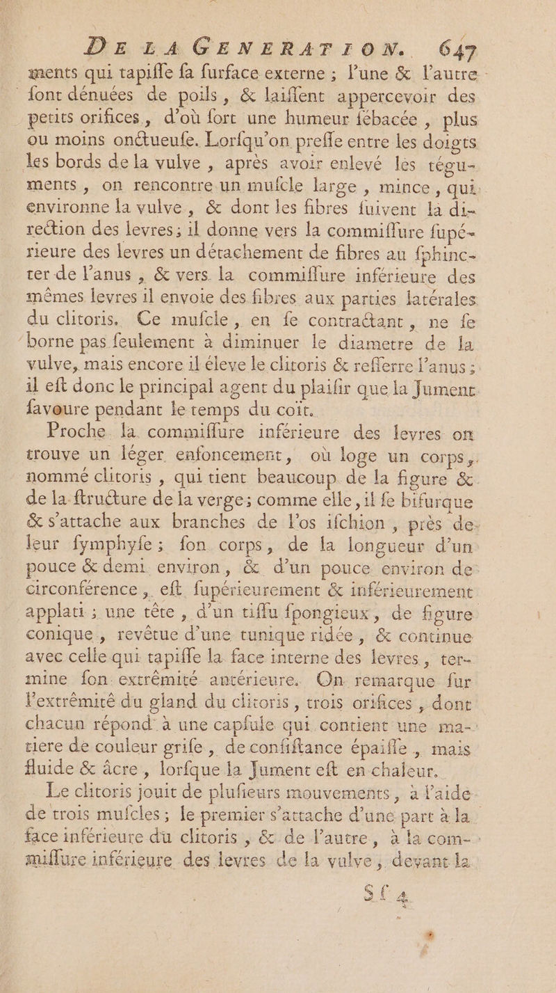 LAURE DE LA GENERATION. 647 ments qui tapifle fa furface externe ; l’une &amp; l’autre: font dénuées de poils, &amp; laiflent appercevoir des peurs orifices, d'où fort une humeur {ébacée , plus ou moins onétueufe. Lorfqu’on preffe entre les doigts les bords de la vulve , après avoir enlevé les téeu- ments, on rencontre un muicle large , mince, qui. environne la vulve, &amp; dont les fibres fuivent là di- rection des levres; il donne vers la commiflure fupé- rieure des levres un détachement de fibres au fohinc- rer de l'anus , &amp; vers la commiflure inférieure des mêmes levres 1l envoie des fibres aux parties latérales du clitoris. Ce mufcle, en fe contratant, ne fe ‘borne pas feulement à diminuer le diametre de la vulve, mais encore il éleve le clitoris &amp; refferre l'anus :: il eft donc le principal agent du plaïfir que la Jumenr faveure pendant le temps du coït. Proche. la commiflure inférieure des levres on trouve un léger enfoncemert, où loge un corps, nommé clitoris , qui tient beaucoup de la figure &amp; de la ftructure de la verge; comme elle, il fe bifurque &amp; s'attache aux branches de l'os ifchion , près de. leur fymphyfe; fon corps, de la longueur d’un pouce &amp; demi environ, &amp; d’un pouce environ de: circonférence ,. eft. fupérieurement &amp; inférieurement applatt ; une tête, d’un tifflu fpongieux, de figure conique , revêtue d'une tunique ridée, &amp; continue avec celle qui tapifle la face interne des levres, ter- mine fon: extrémité antérieure. On remarque fur l'extrémité du gland du clitoris, trois orifices , dont chacun répond’ à une capfule qui contient une ma-: tere de couleur grife, de confiftance épaifle | mais fluide &amp; âcre, lorfque la Jument eft en chaleur, Le clitoris jouit de plufieurs mouvements, à l’aide. de trois mufcles ; le premier s'attache d’une part à la face inférieure du clitoris | &amp; de l’autre, à la com-. miflure inférieure des levres de la vulve, devant la à