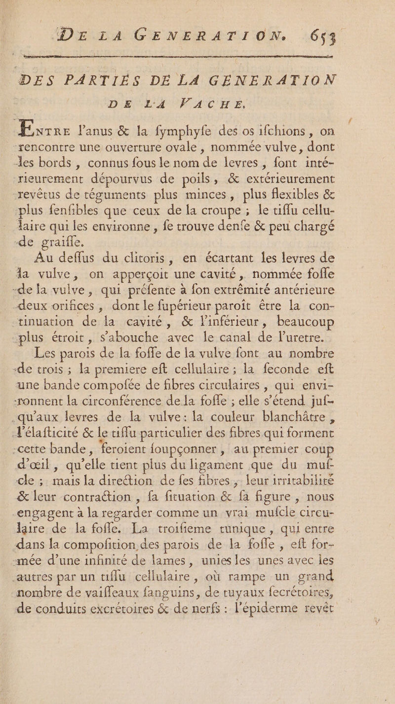 DES PARTIES DE LA GENERATION DELA VACHE, ÆExrrre Panus &amp; la fymphyfe des os ifchions, on xencontre une ouverture ovale , nommée vulve, dont les bords , connus fous le nom de levres, font inté- rieurement dépourvus de poils, &amp; extérieurement -revêtus de téguments plus minces, plus flexibles &amp; plus fenfibles que ceux de la croupe ; le tiffu cellu- daire qui les environne , fe trouve denfe &amp; peu chargé -de graifle. Au deffus du clitoris, en écartant les levres de Aa vulve, on apperçoit une cavité, nommée folle -de la vulve, qui préfente à fon extrêmité antérieure deux orifices , dont le fupérieur paroît être la con- tinuation de la cavité, &amp; linférieur, beaucoup plus étroit, s’abouche avec le canal de luretre. Les parois de la foffe de la vulve font au nombre -de trois ; la premiere eft cellulaire ; la feconde eft une bande compofée de fibres circulaires , qui envi- -ronnent la circonférence de la foffe ; elle s'étend. juf- .qu'aux levres de la vulve: la couleur blanchâtre, d'élafticité &amp; le tiMfu particulier des fibres qui forment cette bande, feroient foupçonner , au premier coup d'œil, qu’elle tient plus du ligament que du muf Cle ;. mais la direétion de fes fibres ,: leur irritabilire &amp; leur contraétion , fa fituation &amp; fa figure , nous engagent à la regarder comme un vrai mufcle cireu- lire de la fofle. La troifieme tunique, qui entre dans la compofition des parois de la foffe , eft for- “mée d’une infinité de lames, unies les unes avec les autres par un tiflu cellulaire, où rampe un grand nombre de vaiffleaux fanguins, de tuyaux fecrétoires, de conduits excrétoires &amp; de nerfs : l’épiderme revêt