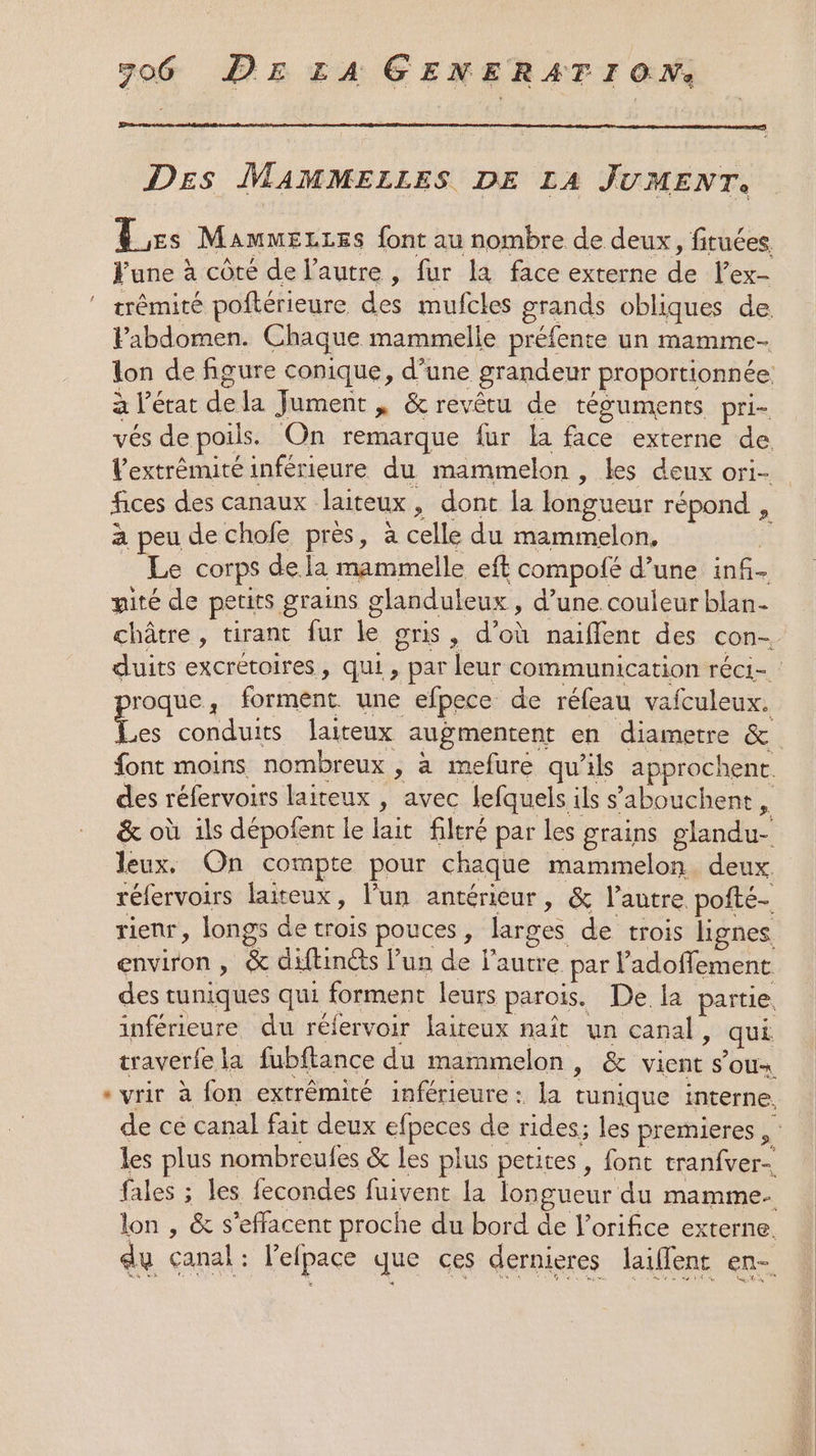 DEs MAMMELLES DE LA JUMENT. Es MammeLLes font au nombre de deux, fituées. June à côté de l’autre , fur la face externe de l’ex- trémité poflérieure des mufcles grands obliques de Pabdomen. Chaque mammelle préfente un mamme- lon de figure conique, d’une grandeur proportionnée: à l’érat dela Jument | &amp; revêtu de téguments pri- vés de poils. On remarque fur la face externe de l’extrémité inférieure du mammelon , les deux ori- fices des canaux laiteux, dont la longueur répond , à peu de chofe près, à celle du mammelon, | Le corps de la mammelle eft compofé d’une inf- yité de petits grains glanduleux , d’une. couleur blan- pe forment. une efpece de réfeau vafculeux. font moins nombreux , à mefure qu’ils approchent des réfervoirs laiteux , avec lefquels ils s’'abouchent à &amp; où ils dépofent le lait filtré par les grains glandu- leux. On compte pour chaque mammelon deux réfervoirs laiteux, l’un antérieur, &amp; l’autre pofté- rienr, longs de trois pouces, larges de trois lignes environ , &amp; diftincts l’un de l’autre par l’adoffement des tuniques qui forment leurs parois. De la partie inférieure du réfervoir laiteux naît un canal, qui traverfe la fubftance du mammelon, &amp; vient s’ou- « vrir à fon extrémité inférieure: la tunique interne, les plus nombreules &amp; les plus petites, font tranfver- fales ; les fecondes fuivent la longueur du mamme- lon , &amp; s’effacent proche du bord de l’orifice externe. au canal: l'elpace que ces dernieres laiflent en- s.